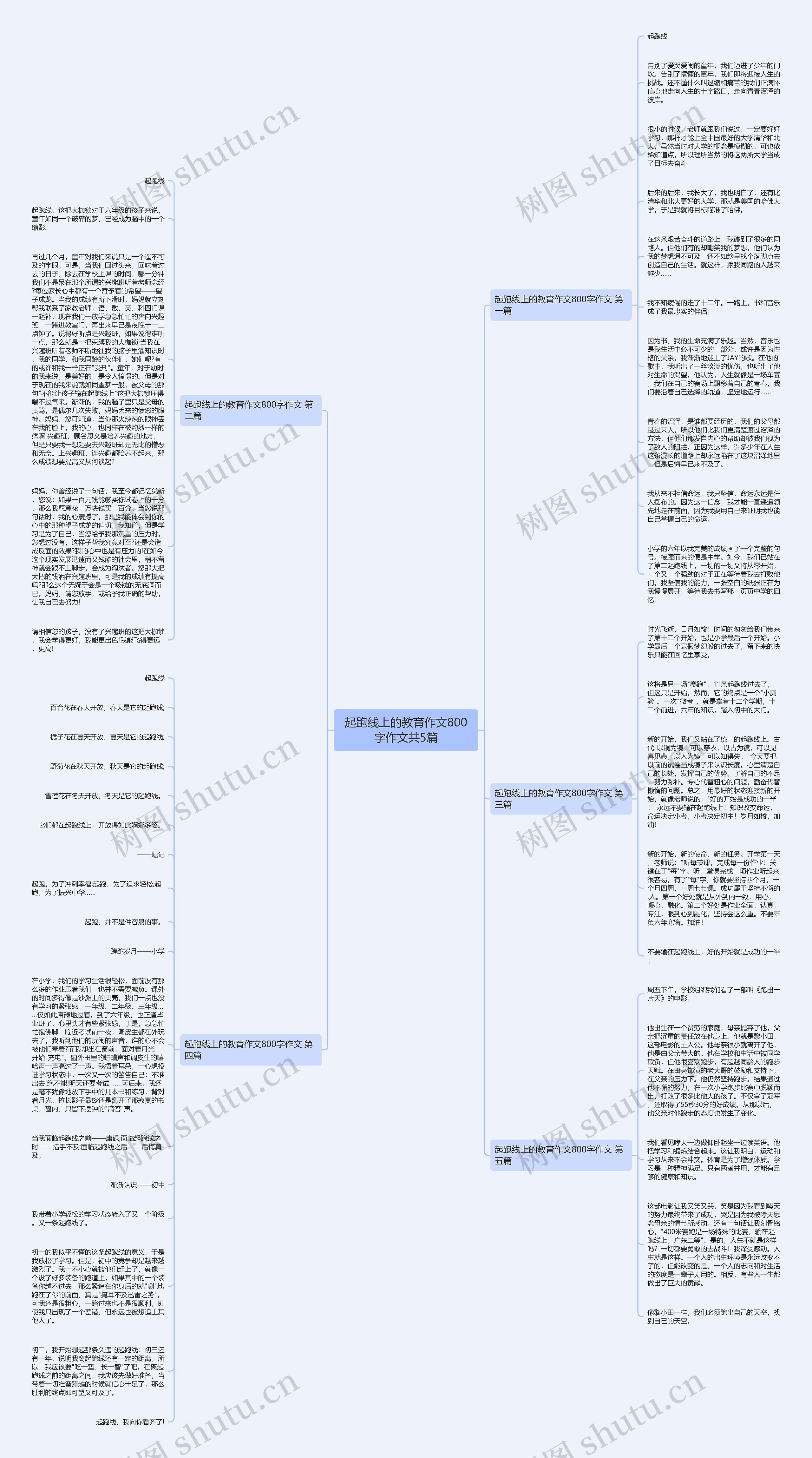 起跑线上的教育作文800字作文共5篇思维导图
