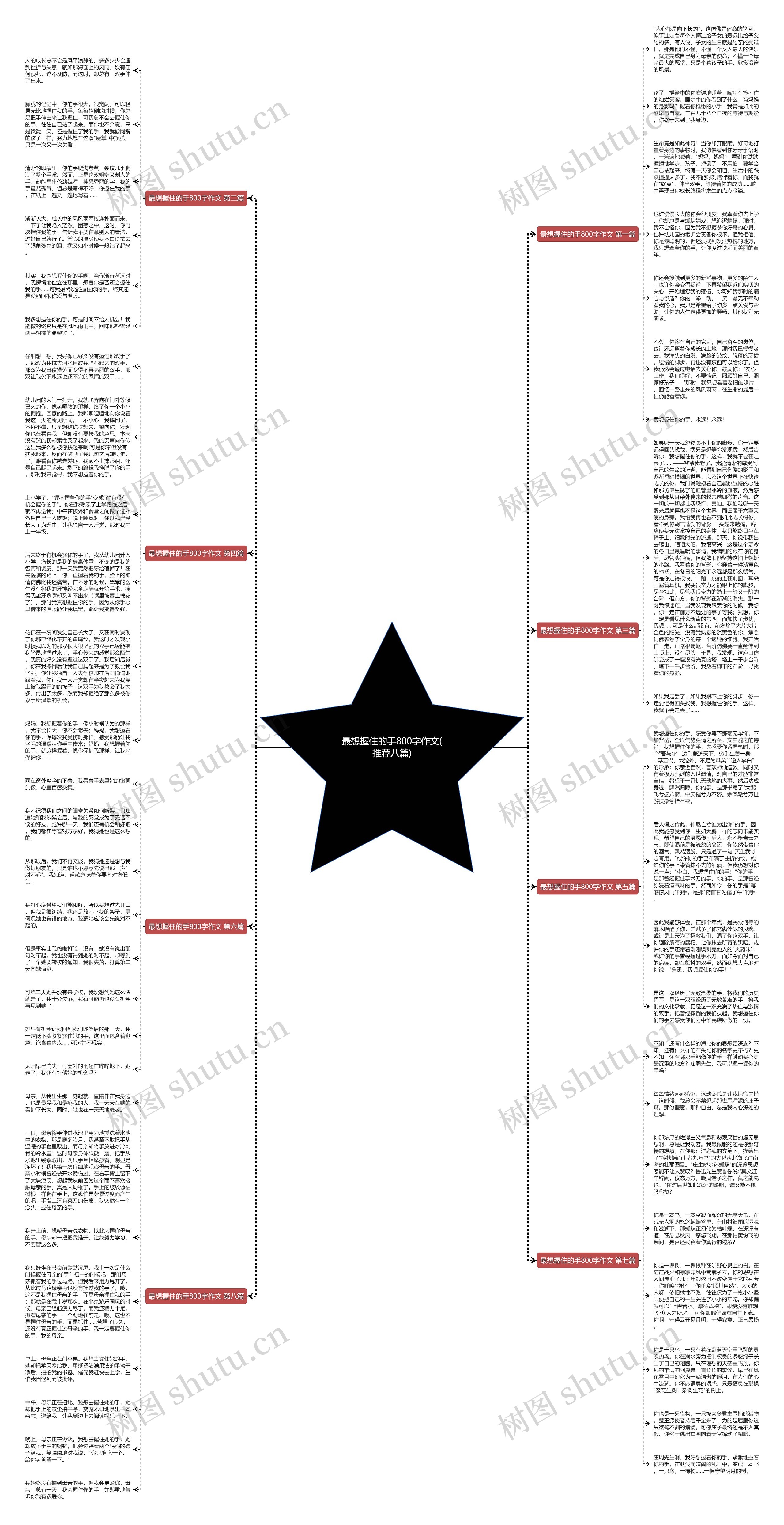 最想握住的手800字作文(推荐八篇)思维导图