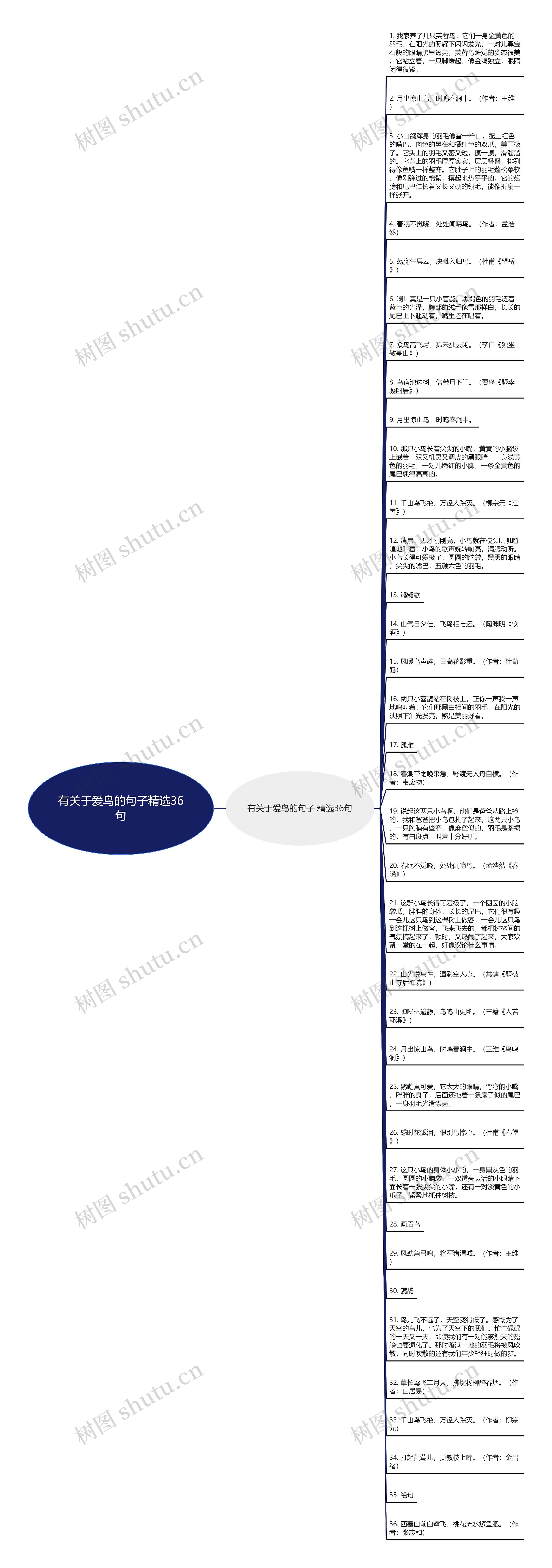 有关于爱鸟的句子精选36句思维导图