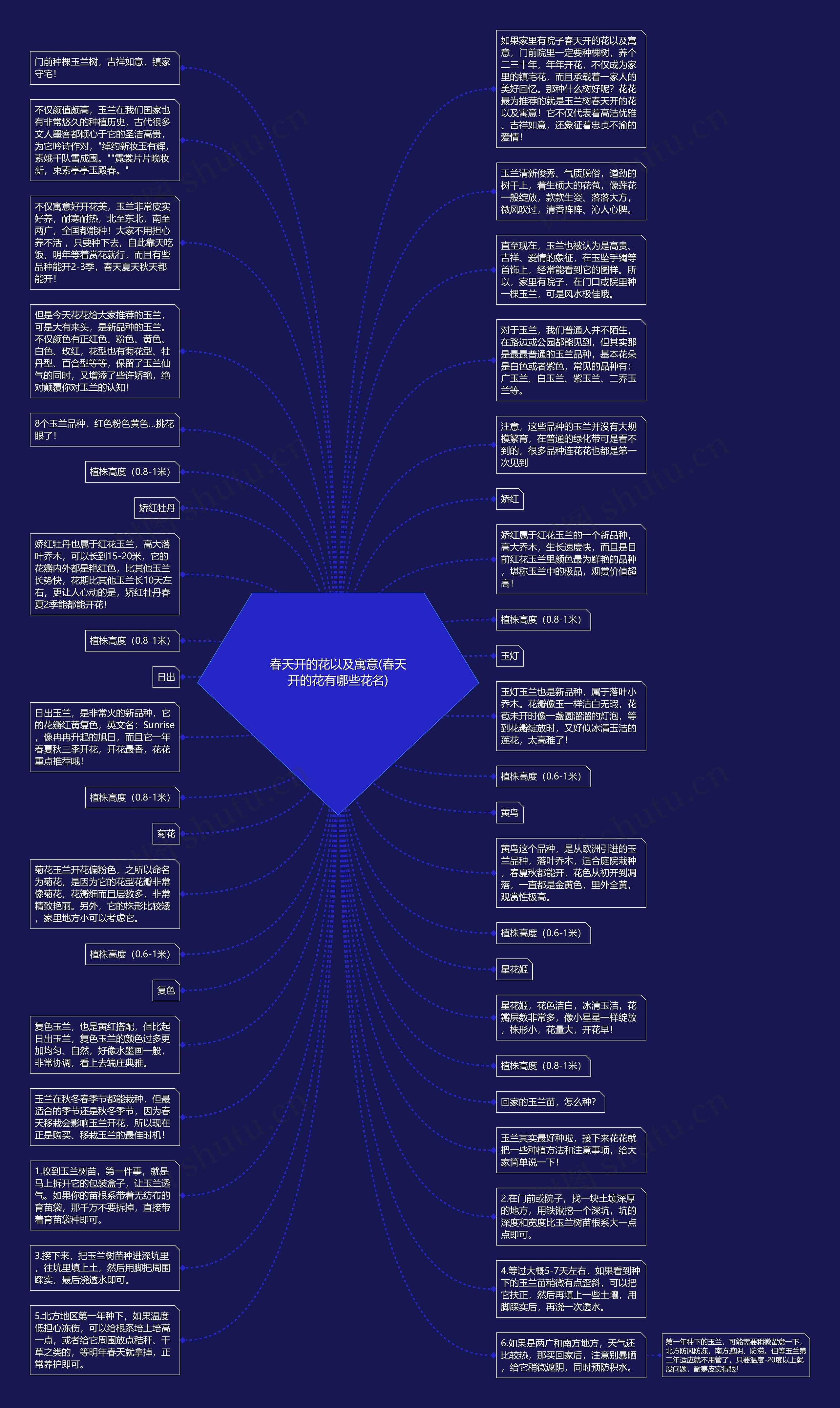 春天开的花以及寓意(春天开的花有哪些花名)思维导图