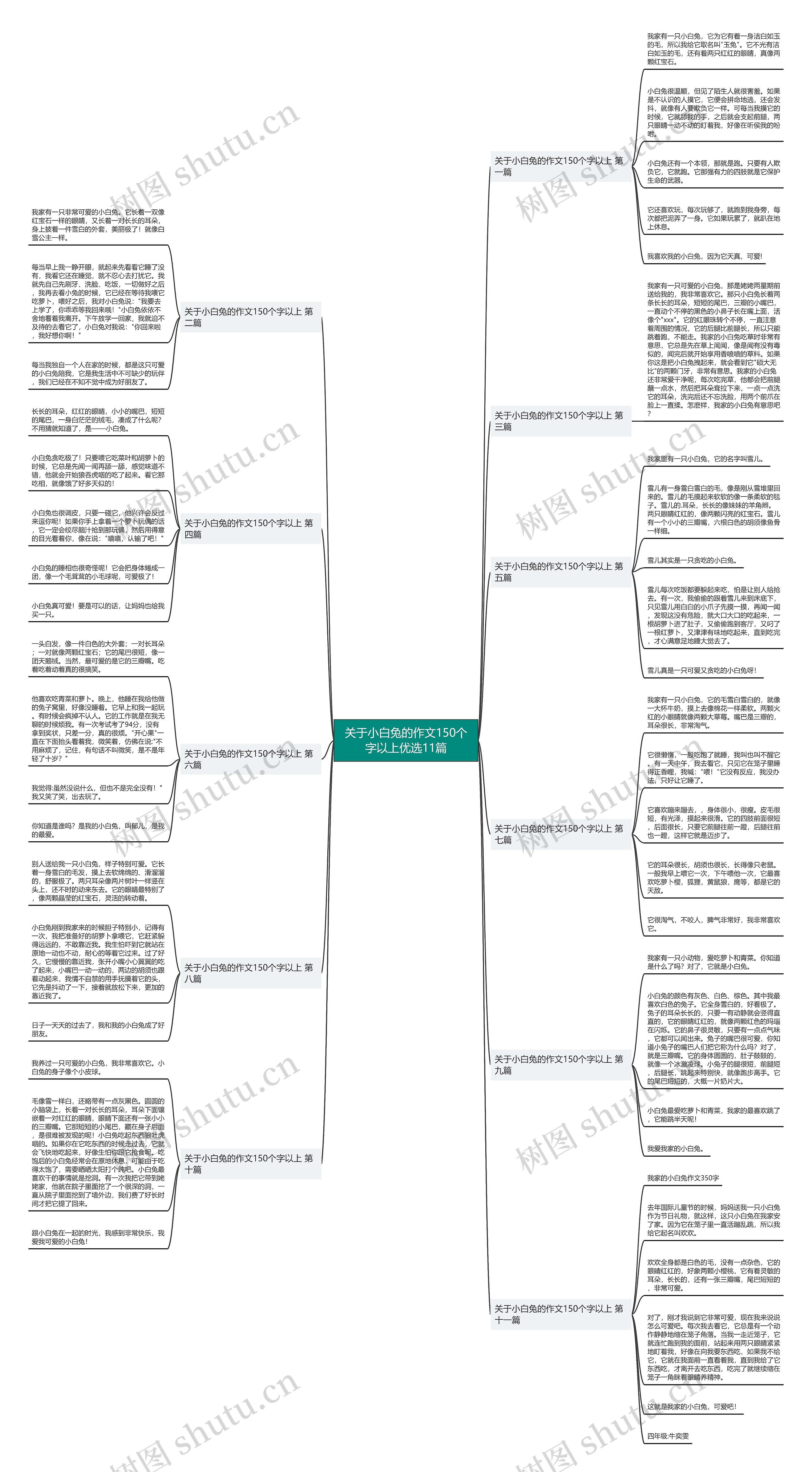 关于小白兔的作文150个字以上优选11篇思维导图