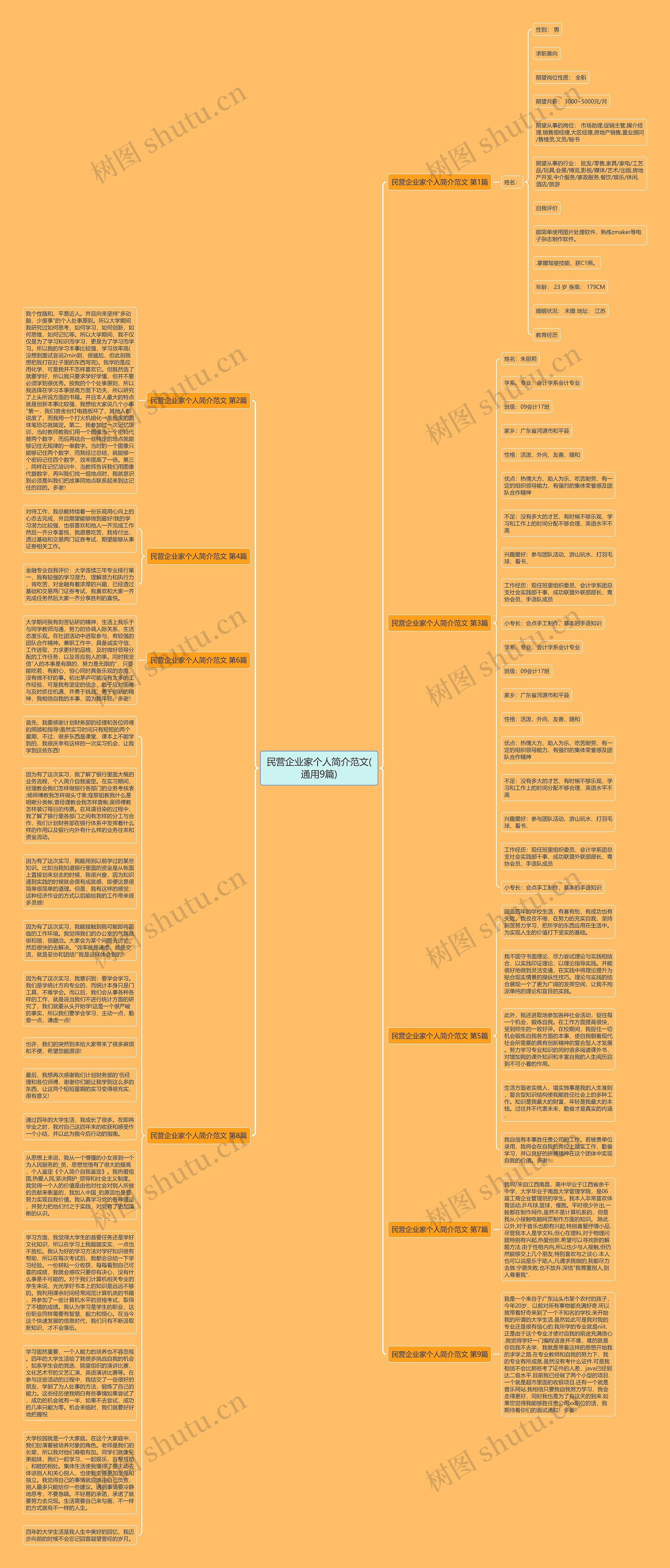 民营企业家个人简介范文(通用9篇)思维导图