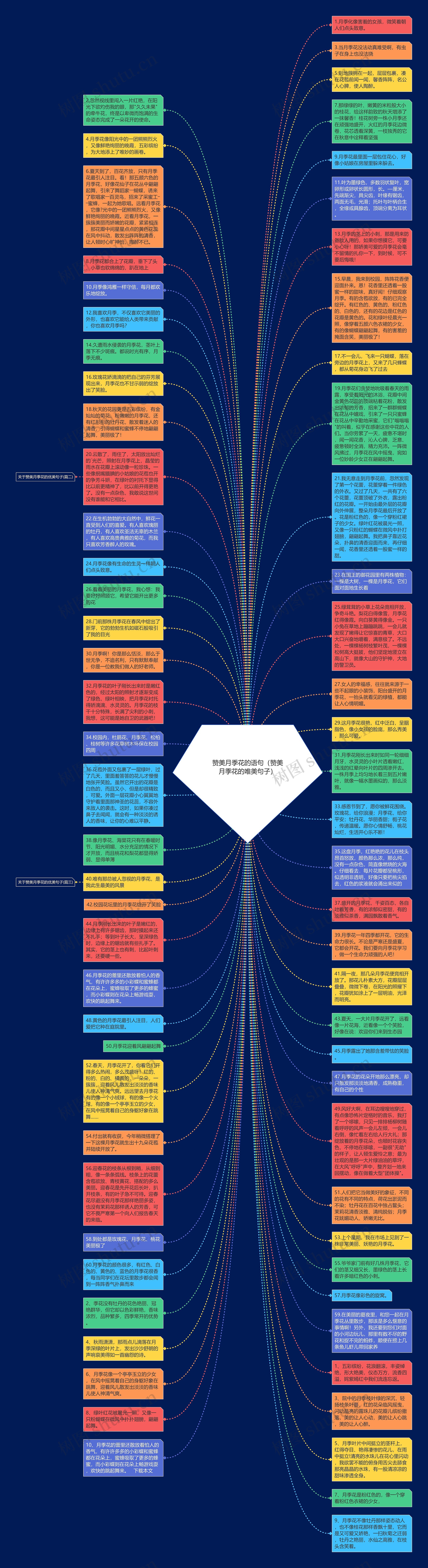 赞美月季花的语句（赞美月季花的唯美句子）思维导图