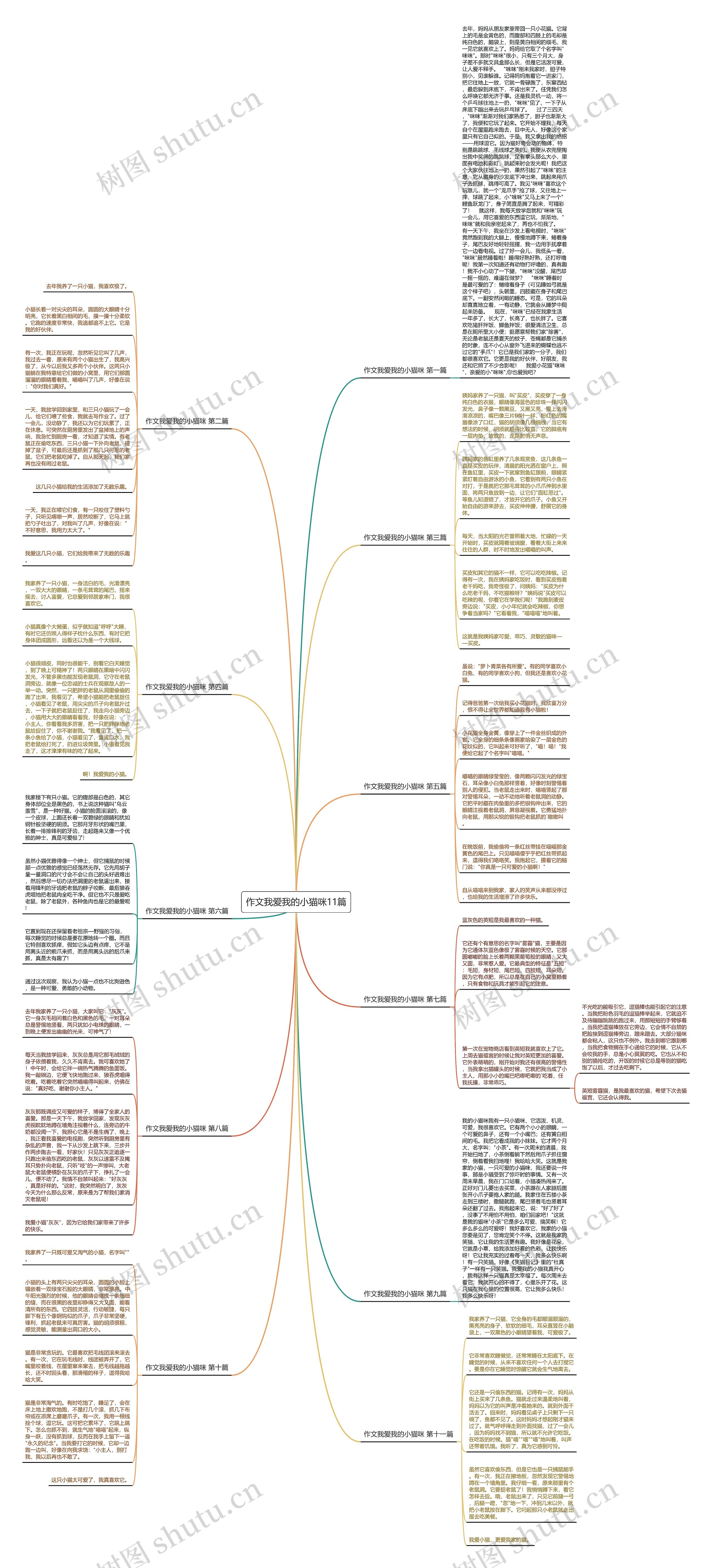 作文我爱我的小猫咪11篇 作文我爱我的小猫咪11篇