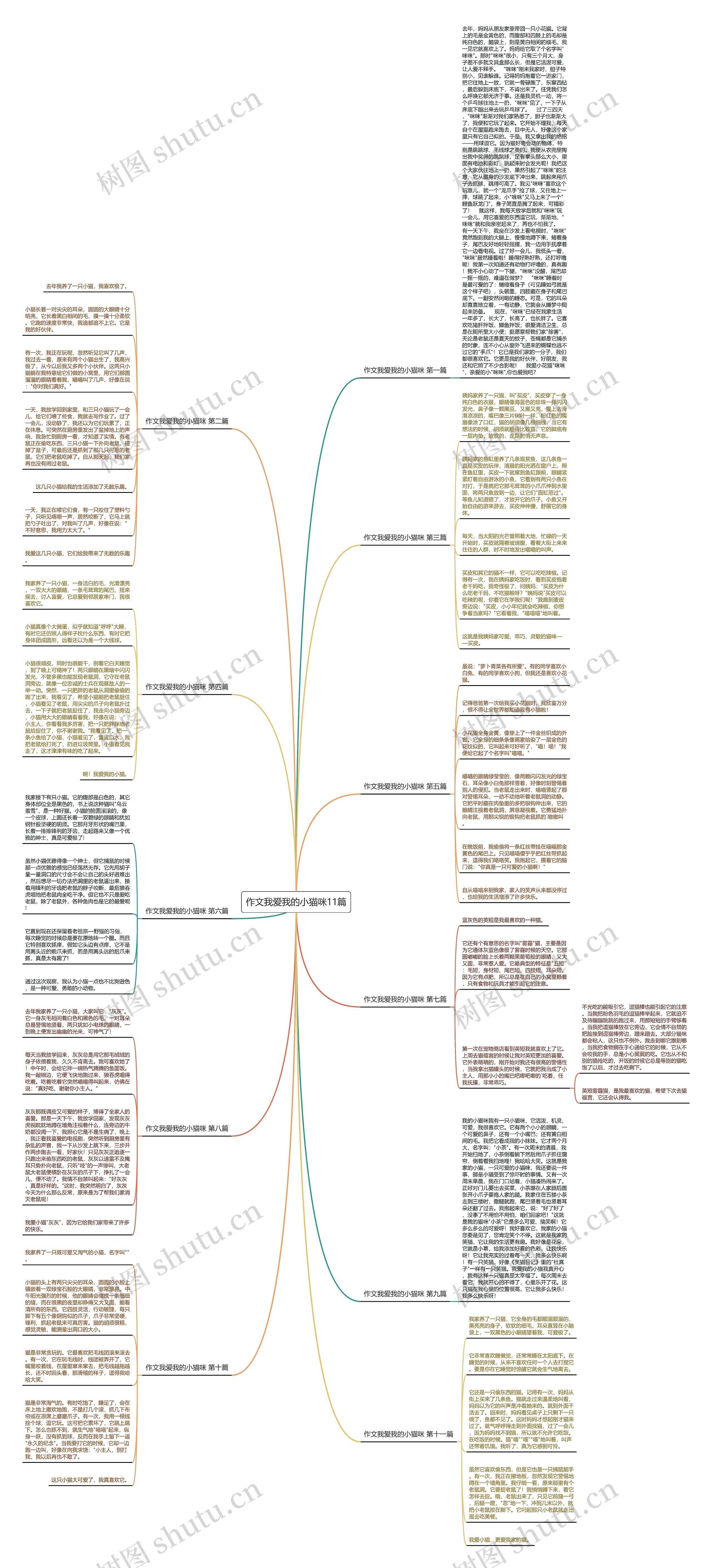 作文我爱我的小猫咪11篇思维导图