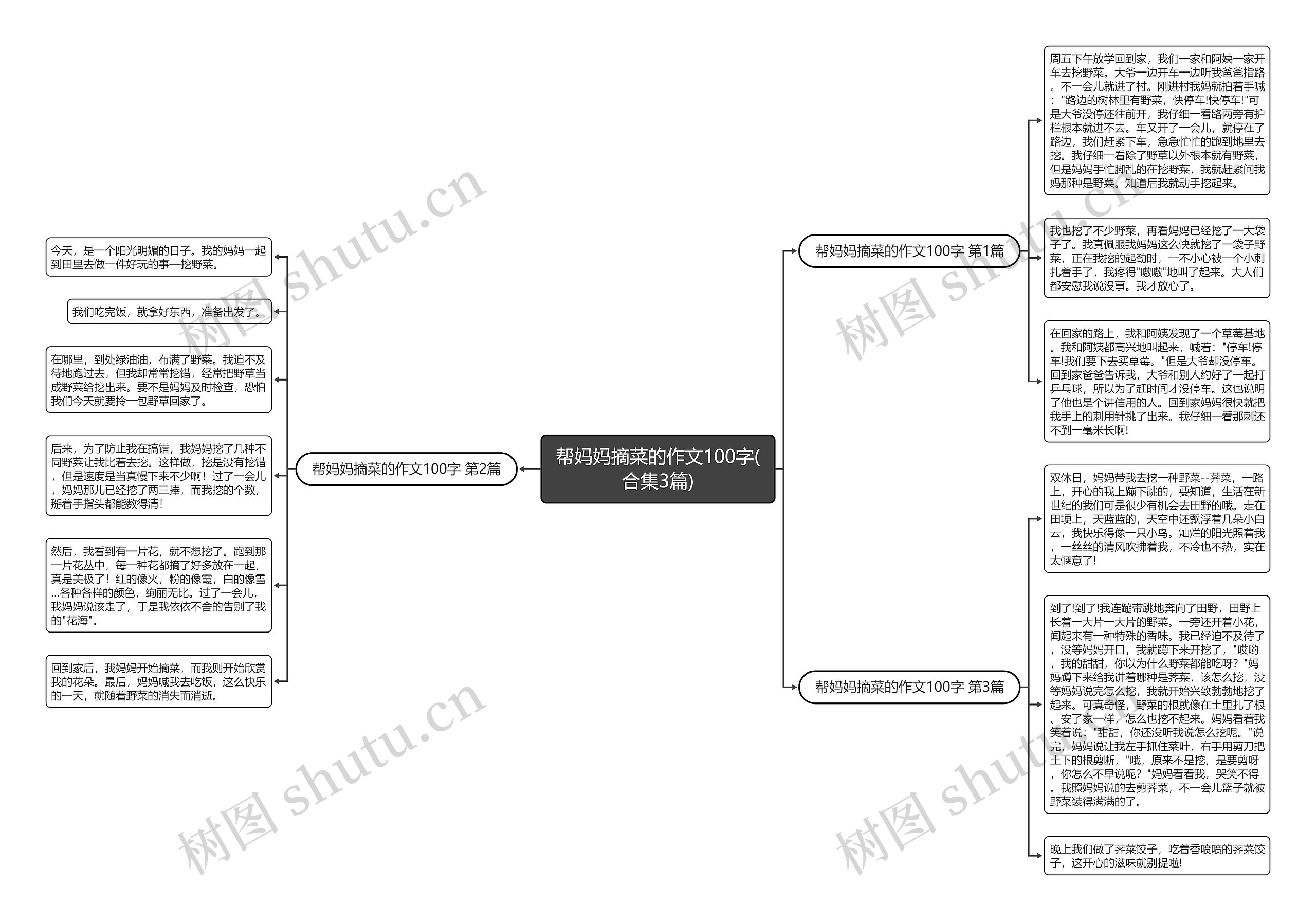 帮妈妈摘菜的作文100字(合集3篇)思维导图