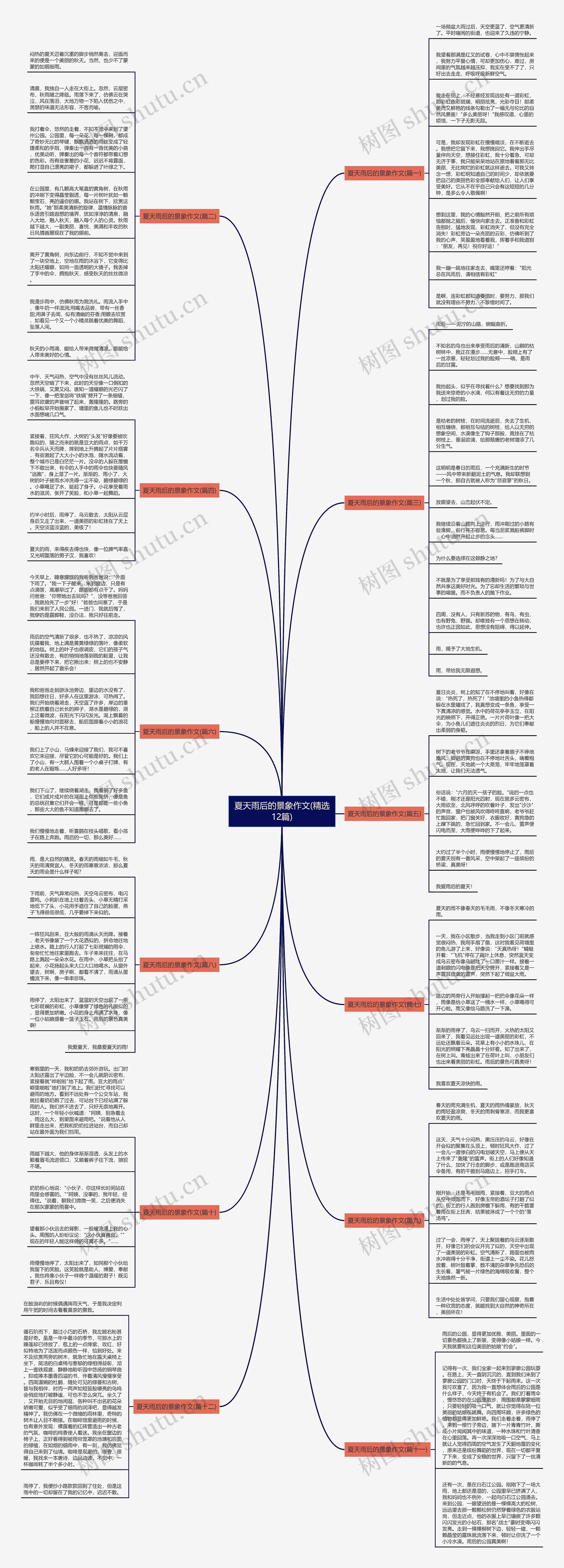 夏天雨后的景象作文(精选12篇)思维导图