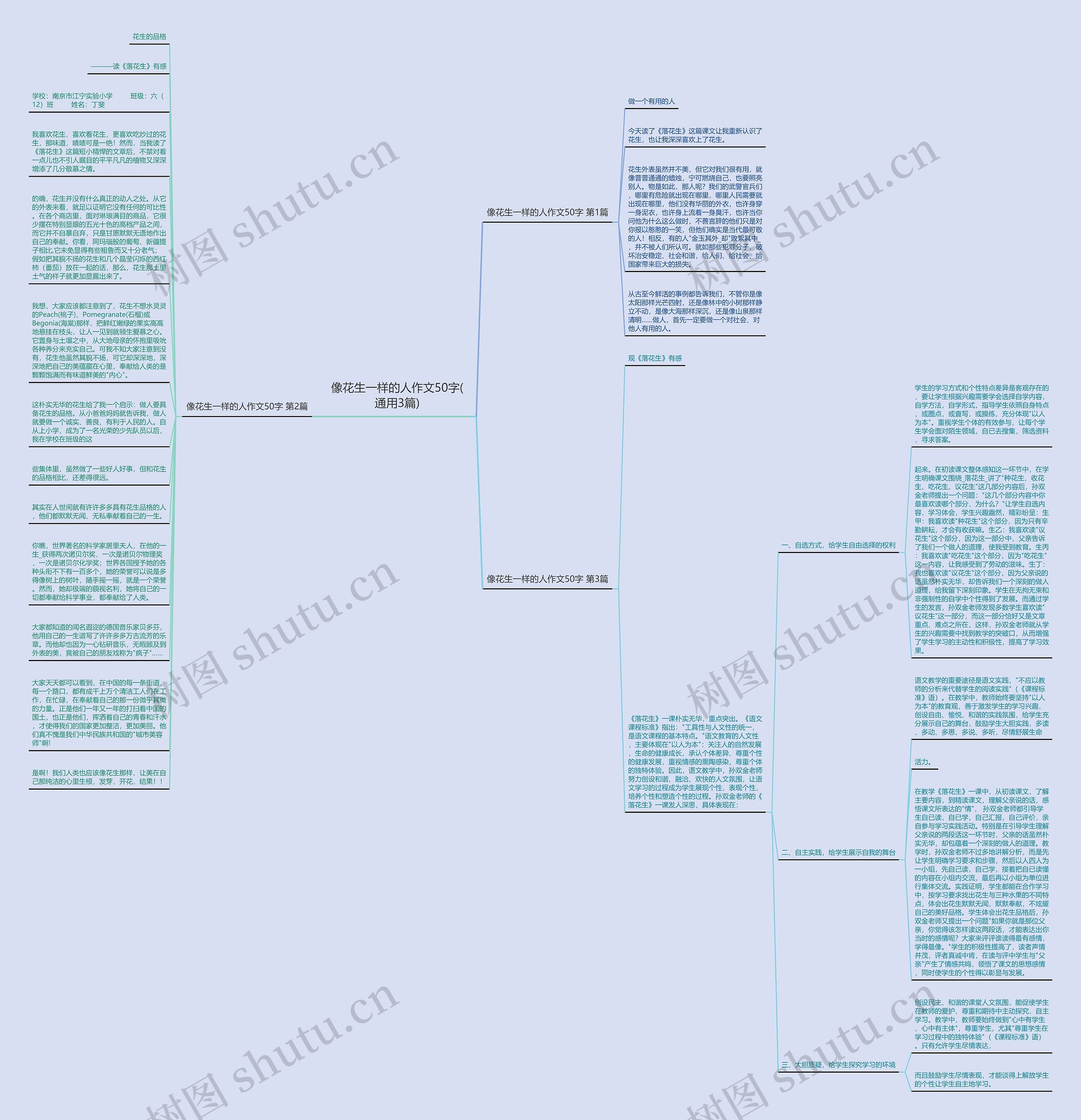 像花生一样的人作文50字(通用3篇)思维导图
