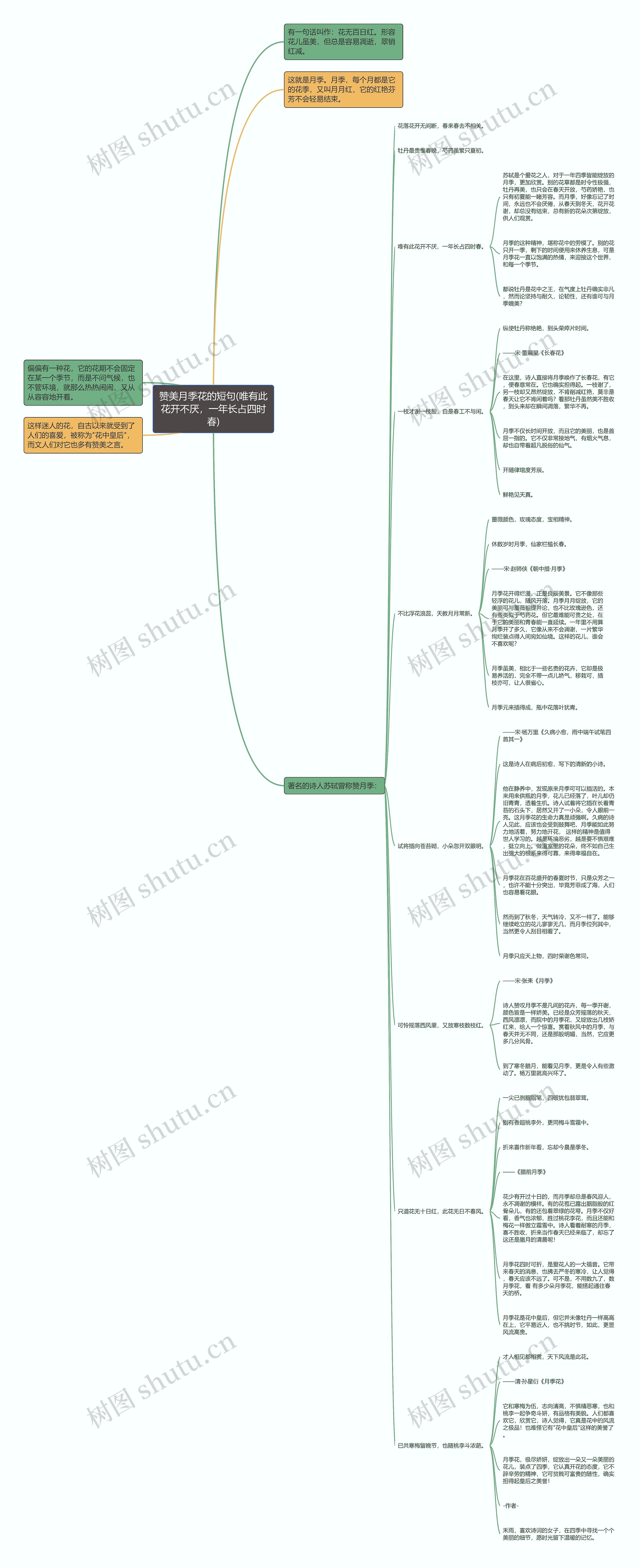 赞美月季花的短句(唯有此花开不厌，一年长占四时春)思维导图