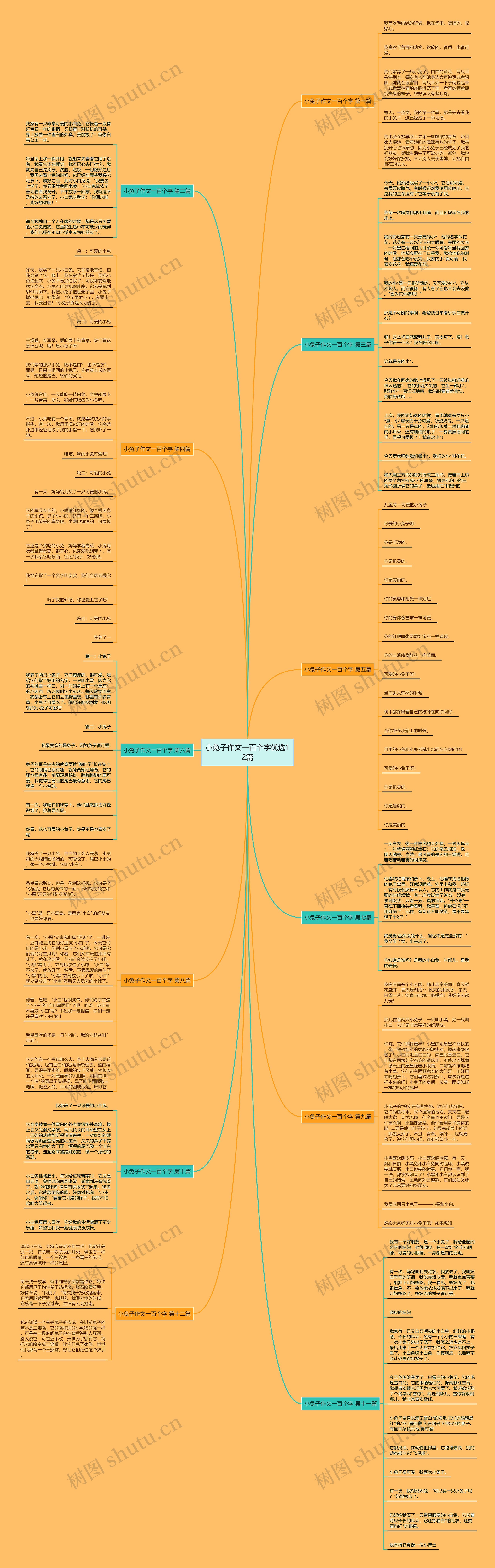 小兔子作文一百个字优选12篇思维导图