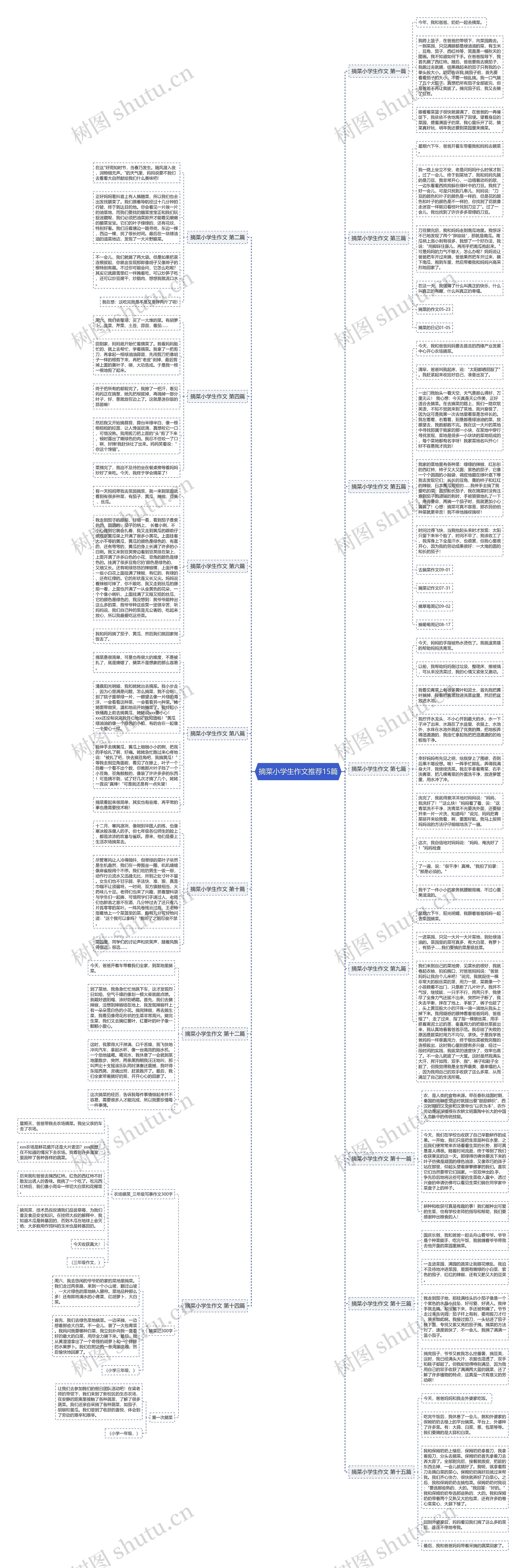摘菜小学生作文推荐15篇 摘菜小学生作文推荐15篇