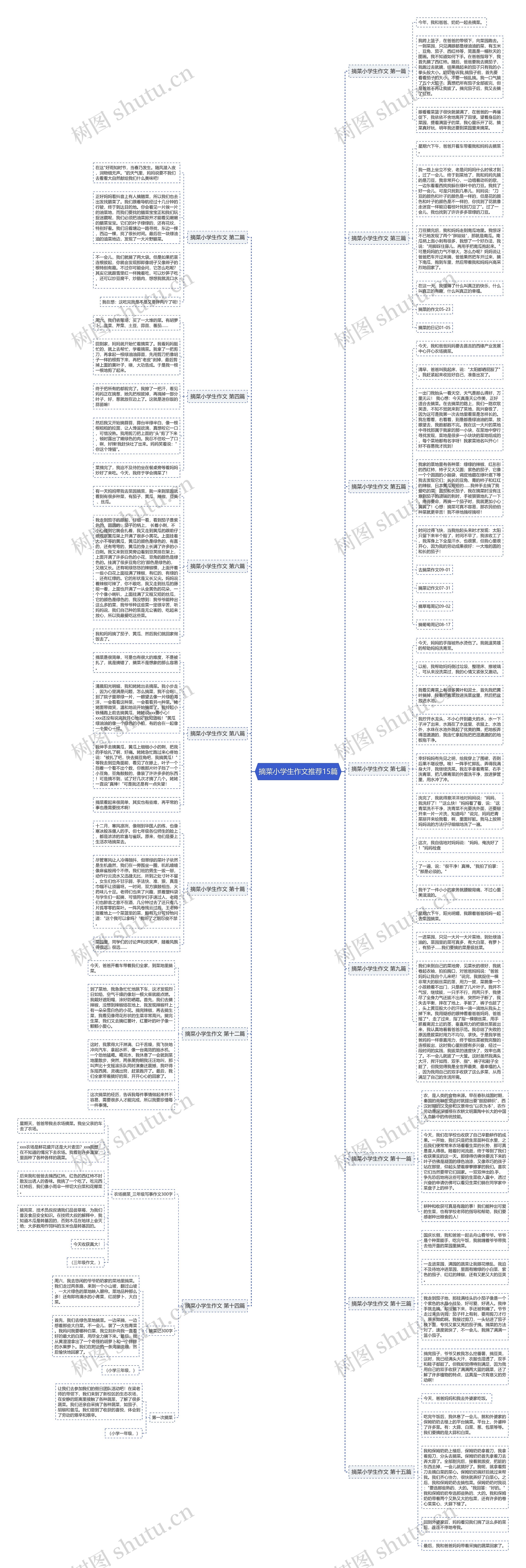 摘菜小学生作文推荐15篇思维导图