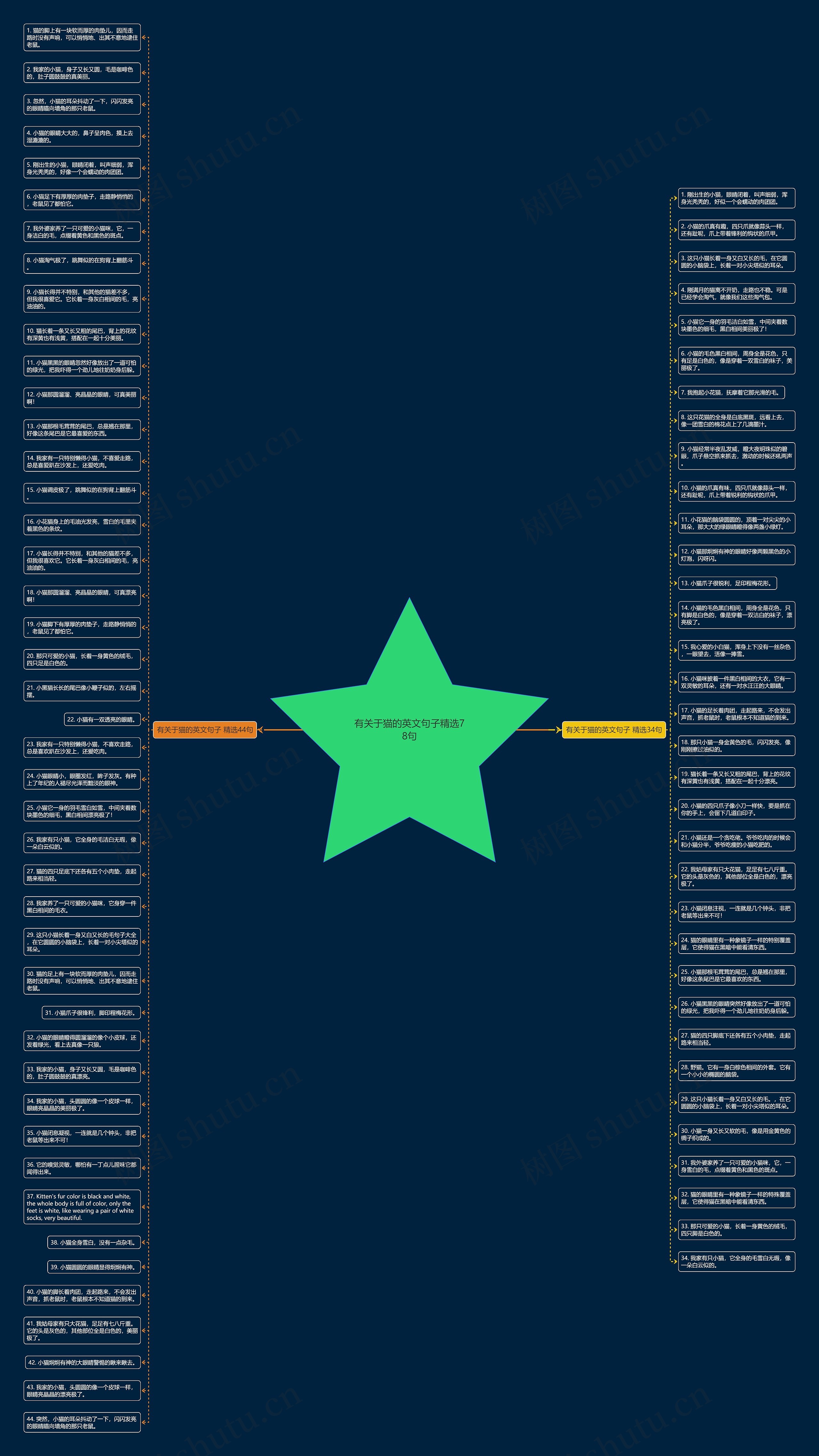 有关于猫的英文句子精选78句思维导图