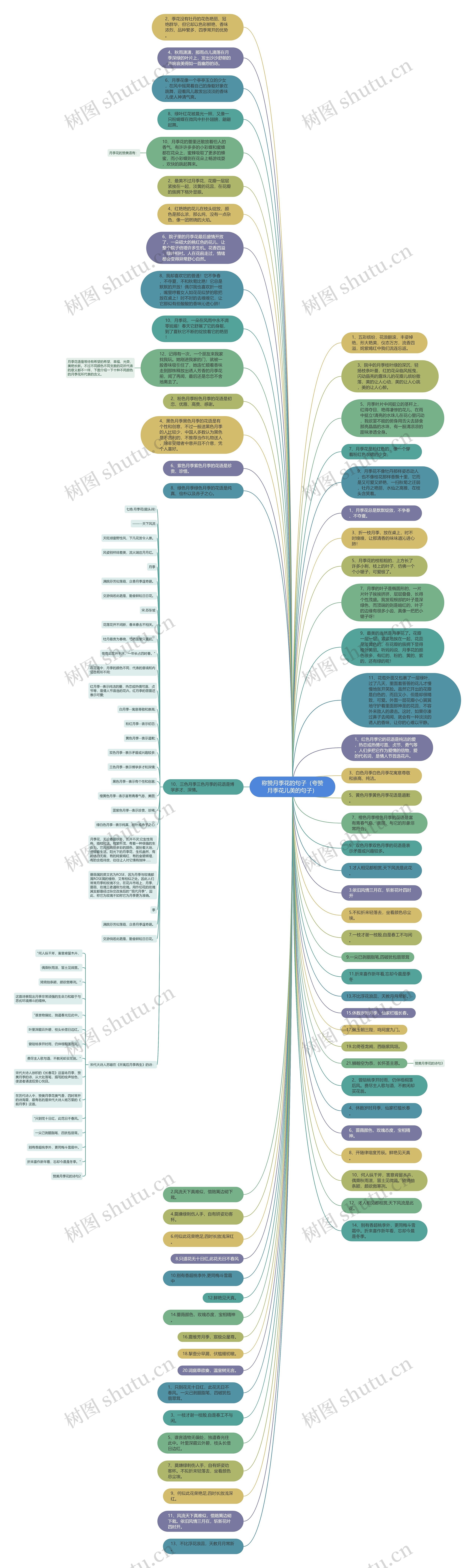 称赞月季花的句子（夸赞月季花儿美的句子）思维导图