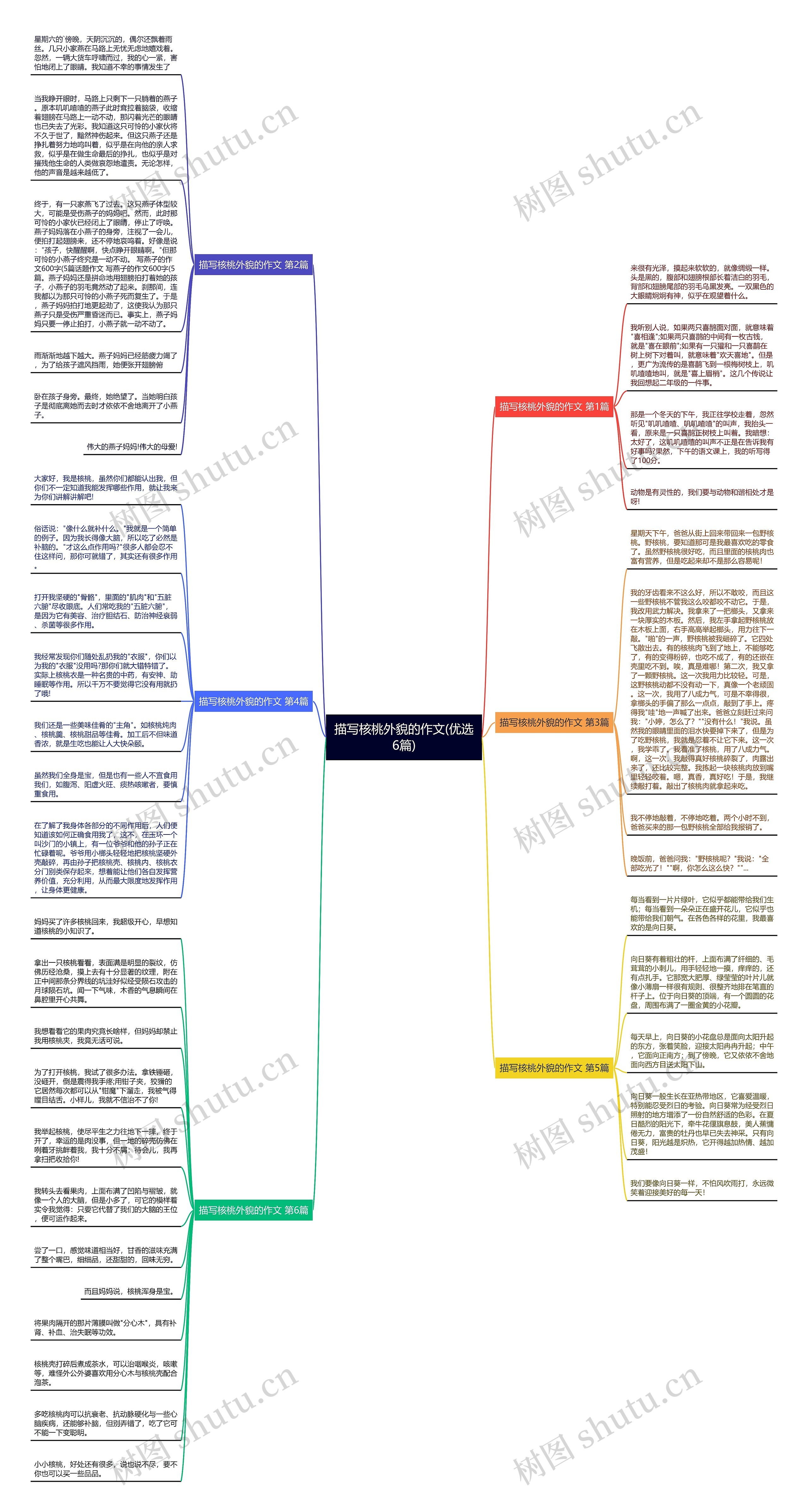 描写核桃外貌的作文(优选6篇)思维导图