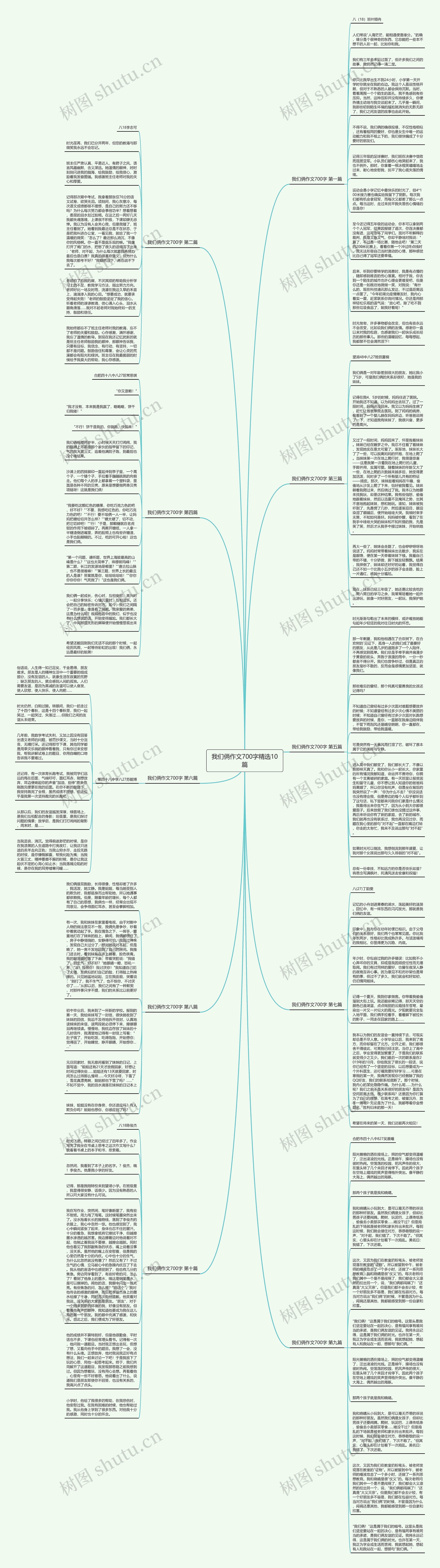 我们俩作文700字精选10篇思维导图
