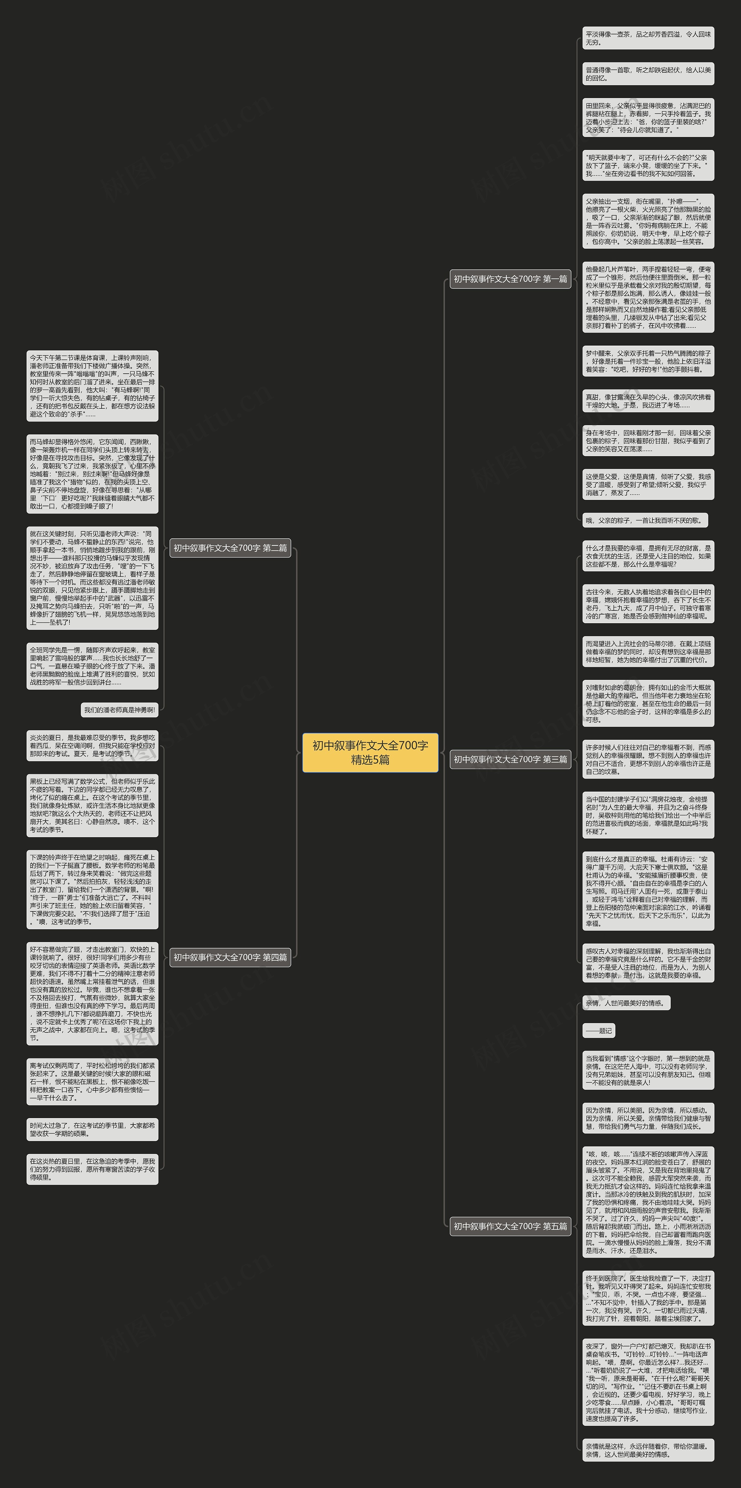初中叙事作文大全700字精选5篇思维导图
