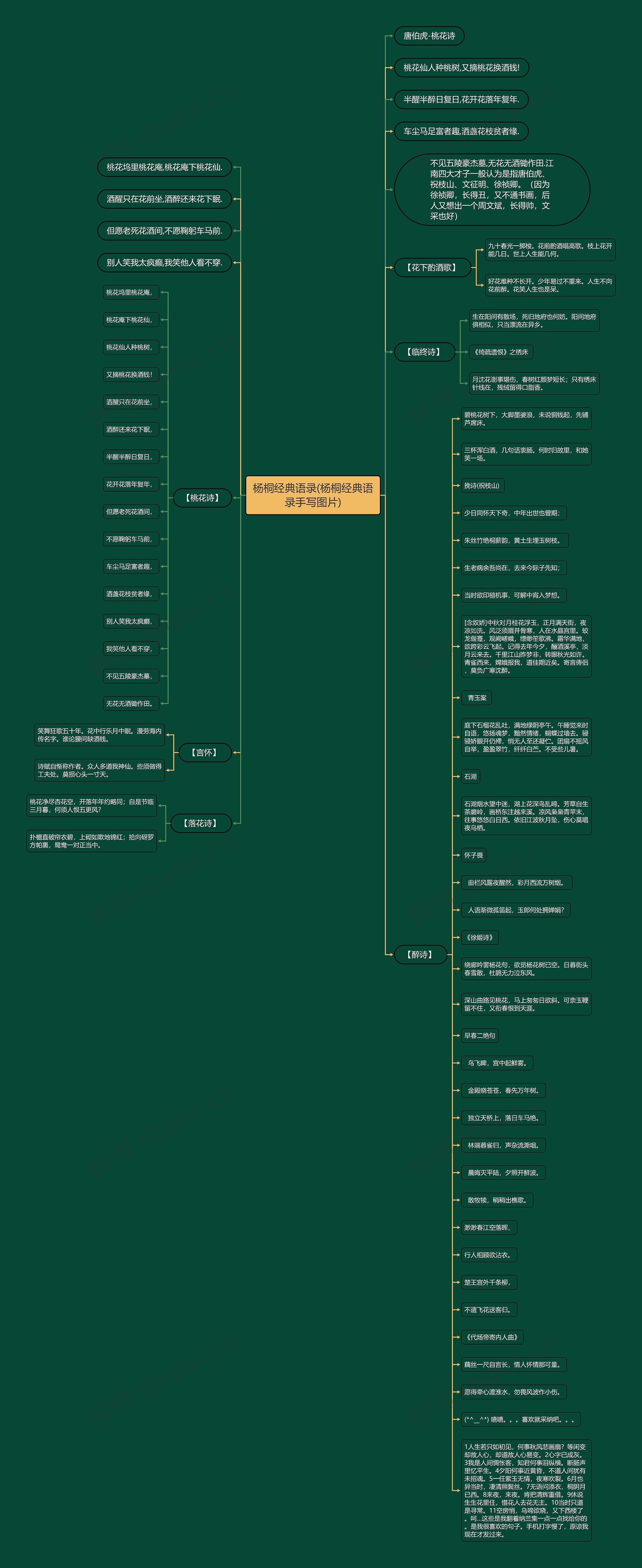 杨桐经典语录(杨桐经典语录手写图片) 杨桐经典语录(杨桐经典语录手写图片)