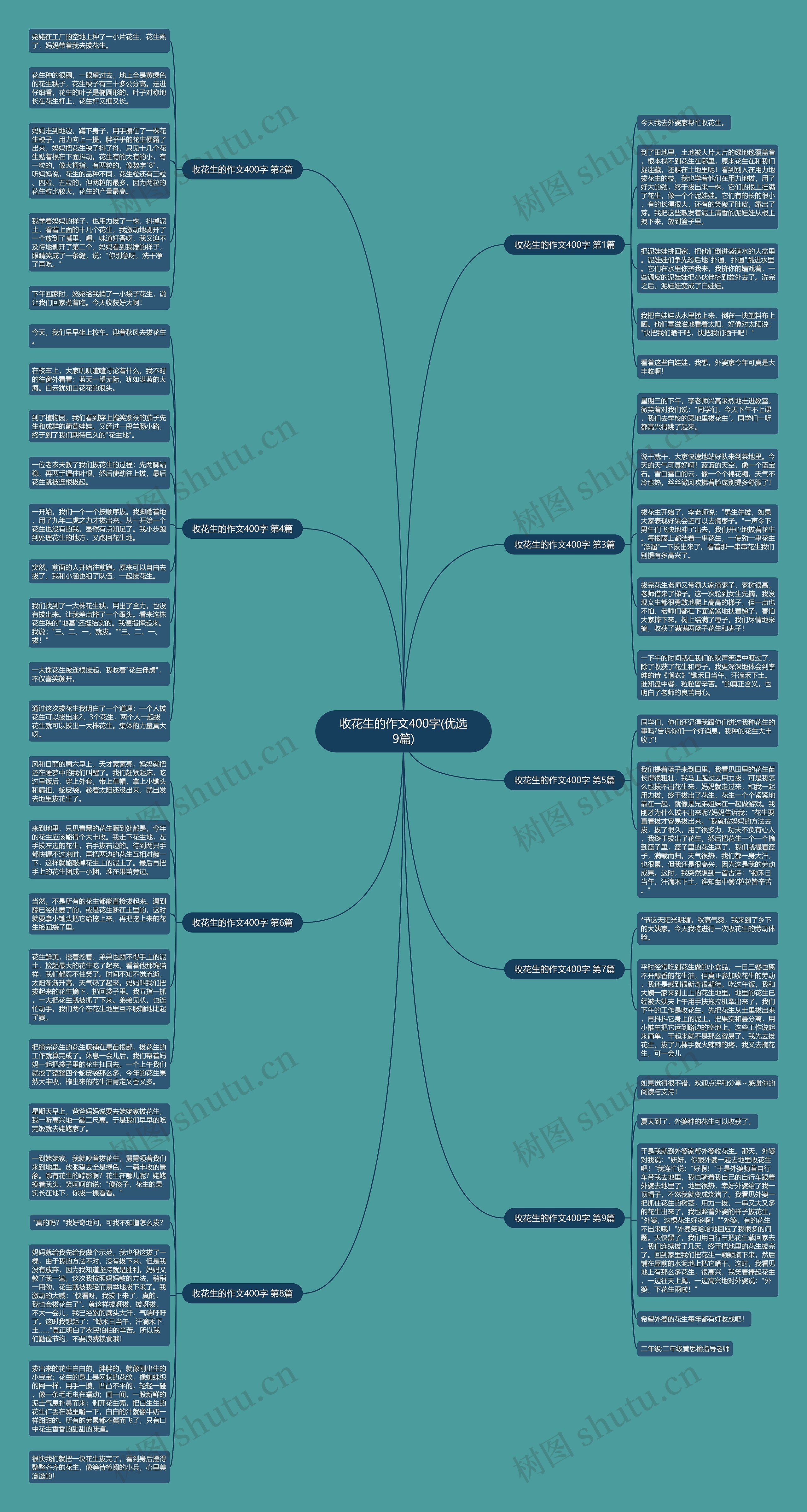 收花生的作文400字(优选9篇)思维导图