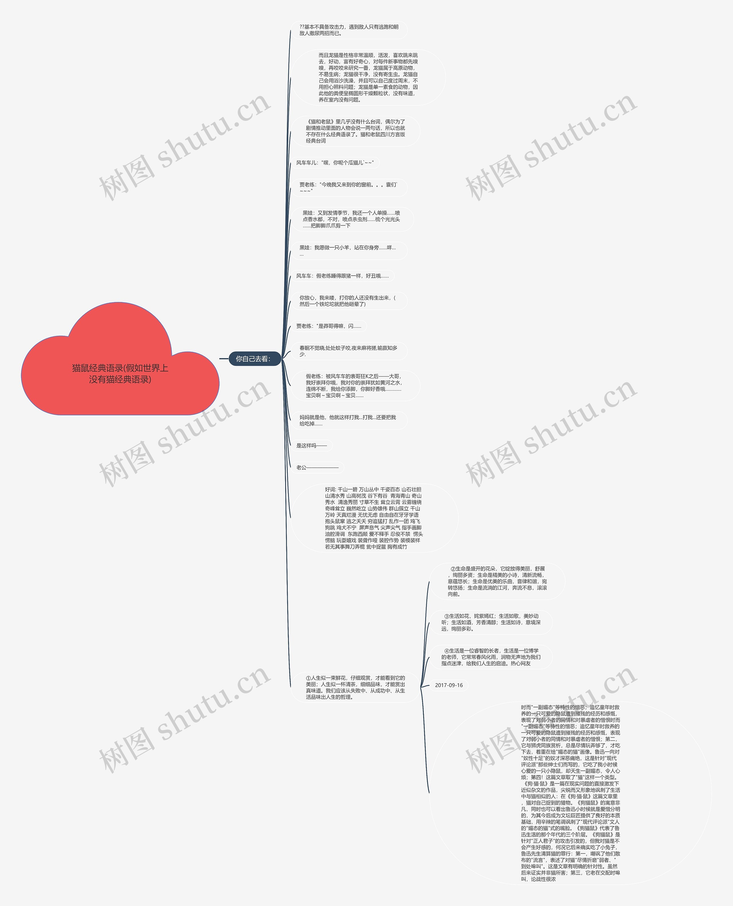 猫鼠经典语录(假如世界上没有猫经典语录)思维导图
