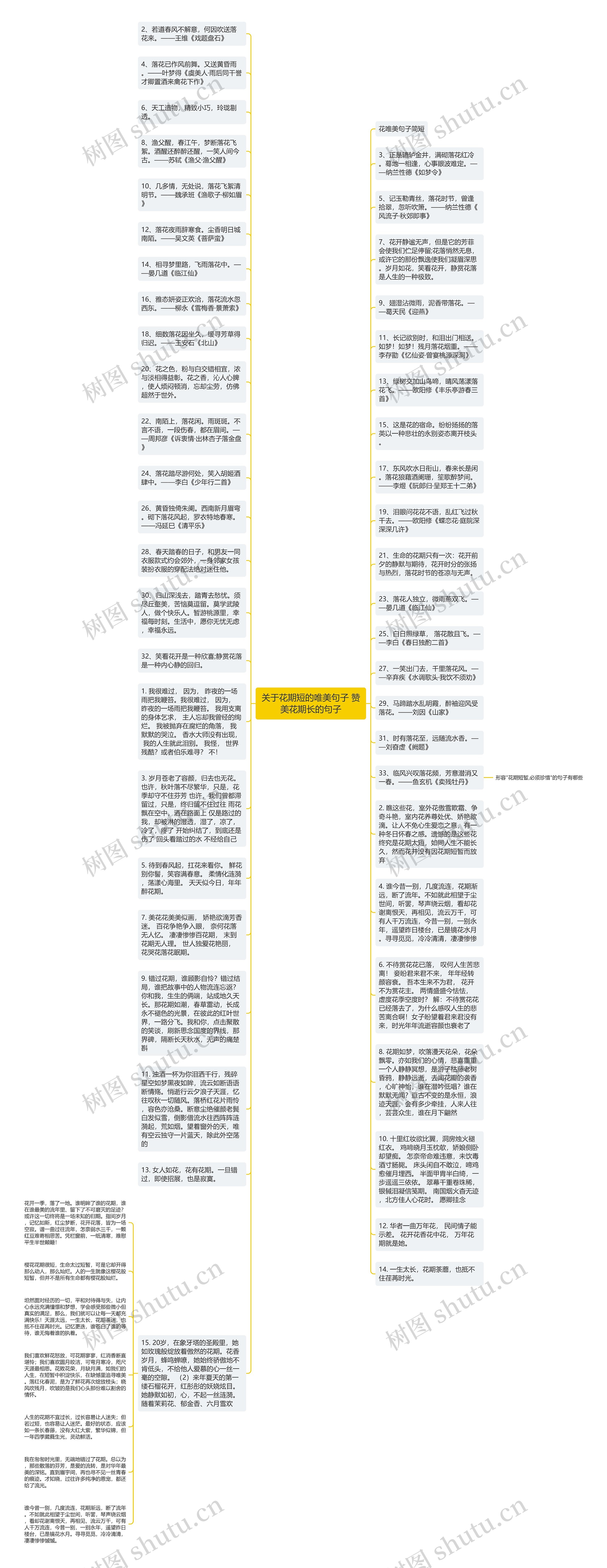 关于花期短的唯美句子 赞美花期长的句子思维导图