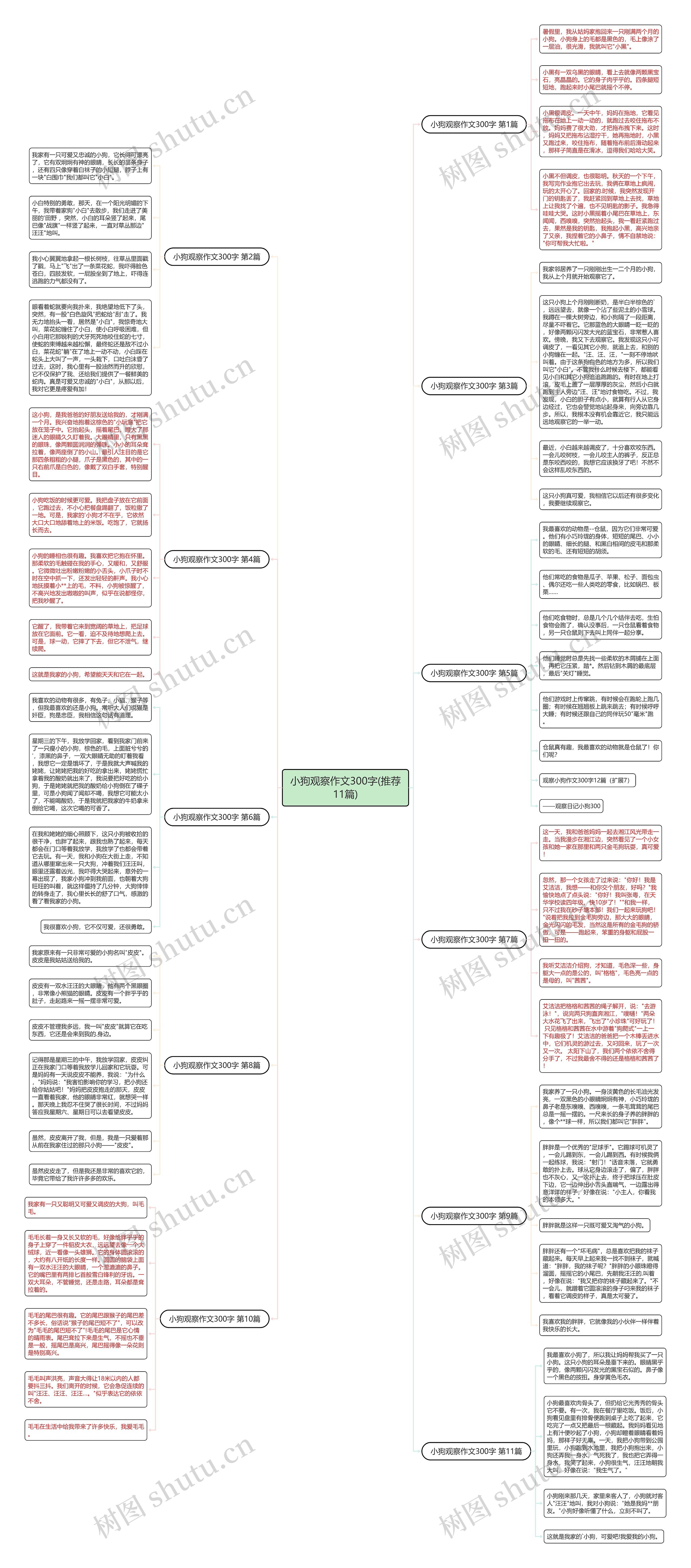 小狗观察作文300字(推荐11篇)思维导图