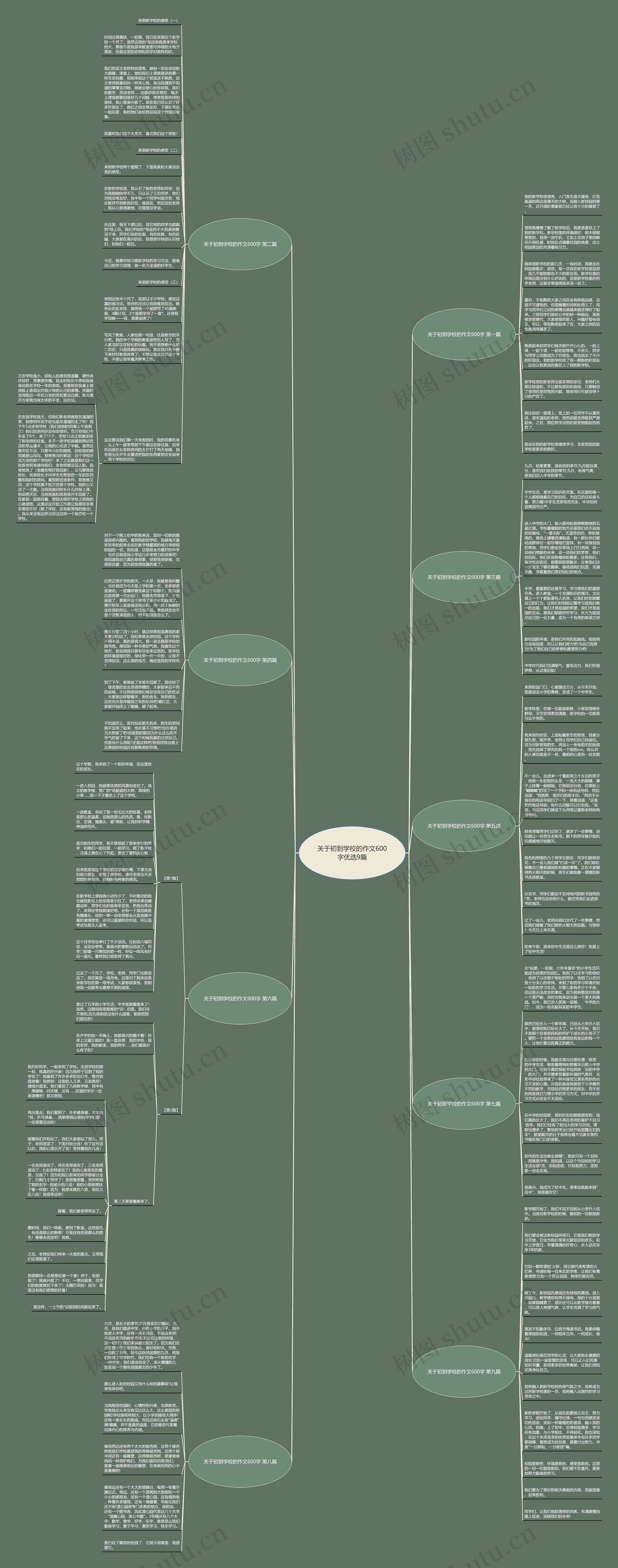 关于初到学校的作文600字优选9篇思维导图