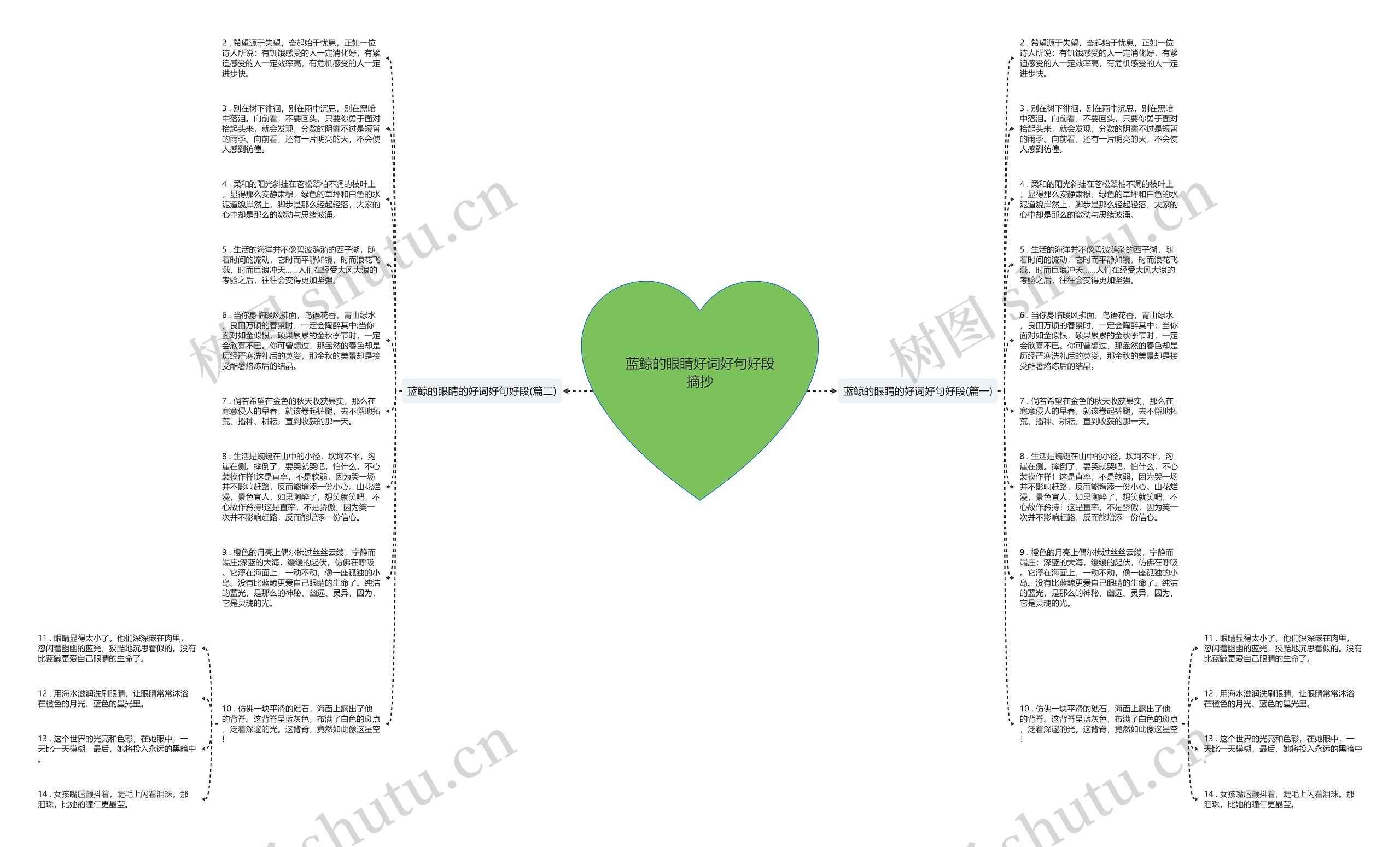 蓝鲸的眼睛好词好句好段摘抄思维导图
