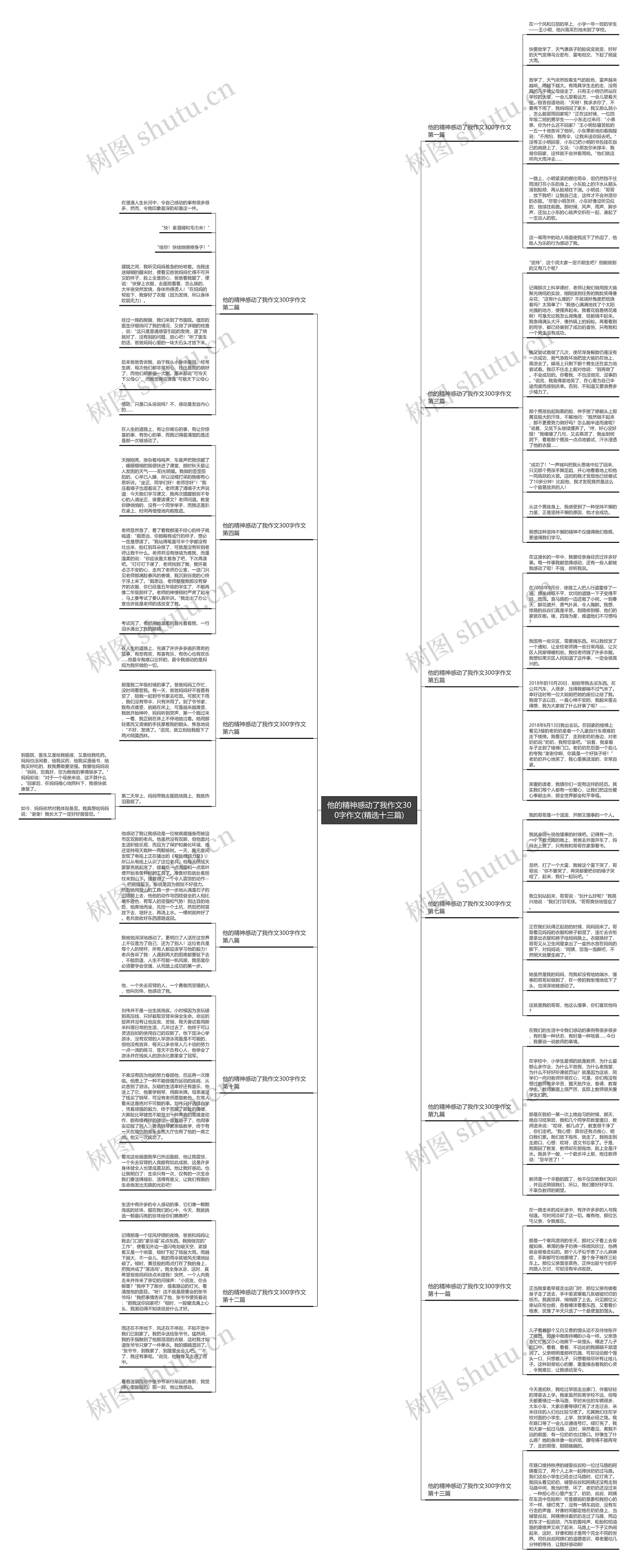 他的精神感动了我作文300字作文(精选十三篇)思维导图