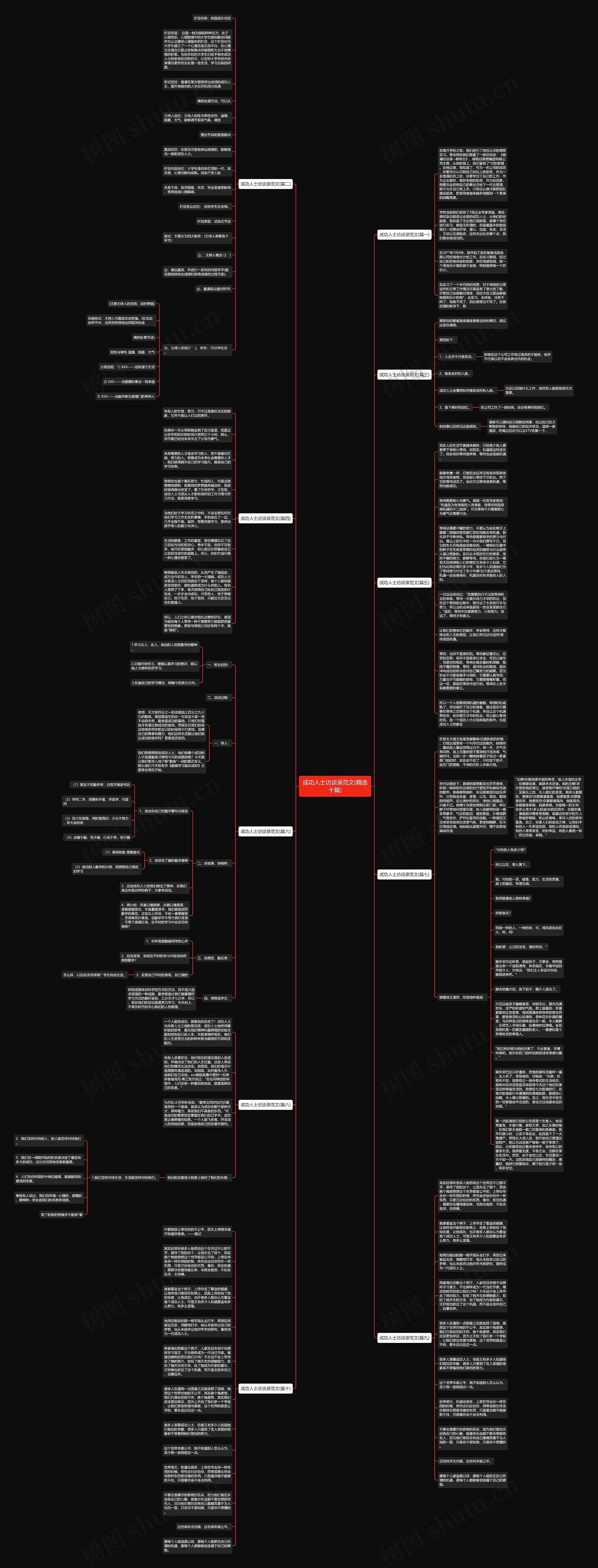 成功人士访谈录范文(精选十篇)思维导图
