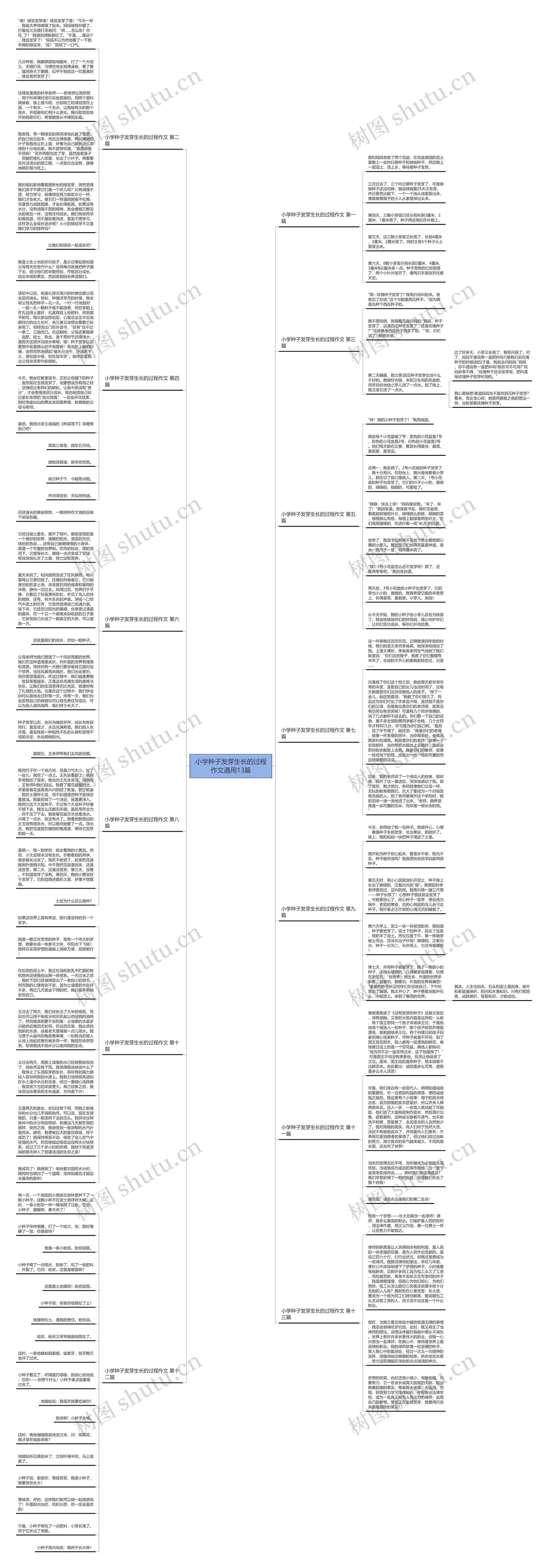 小学种子发芽生长的过程作文通用13篇思维导图