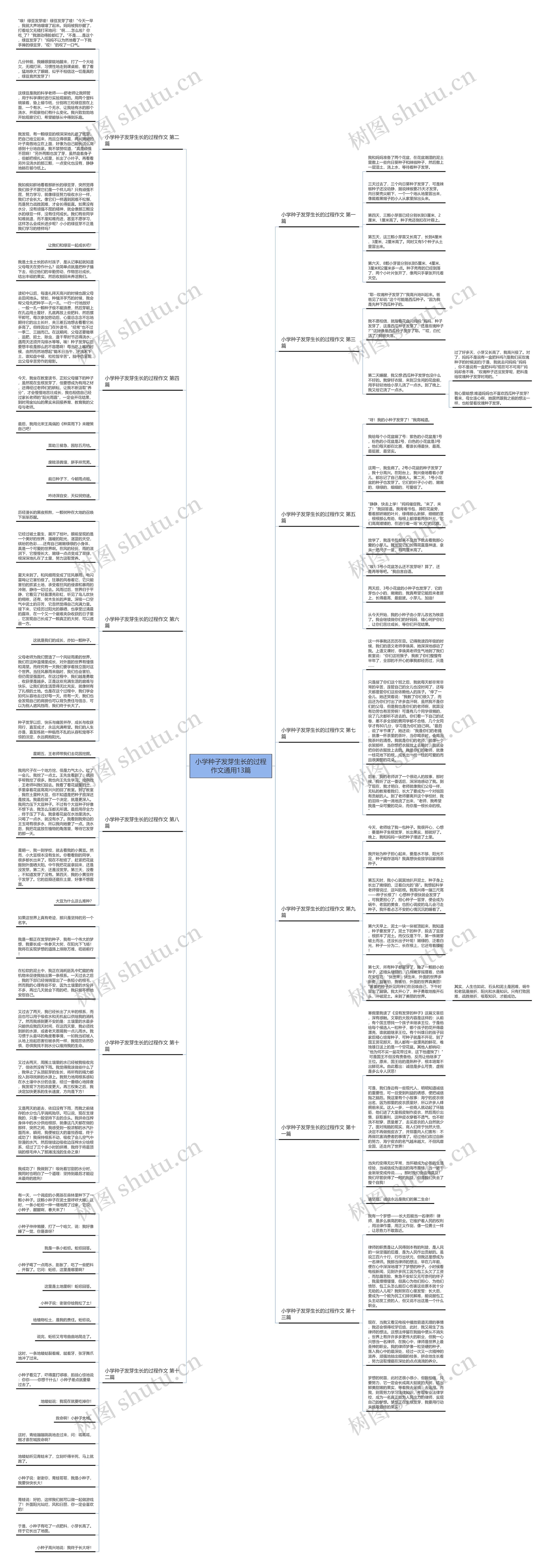 小学种子发芽生长的过程作文通用13篇 小学种子发芽生长的过程作文通用13篇