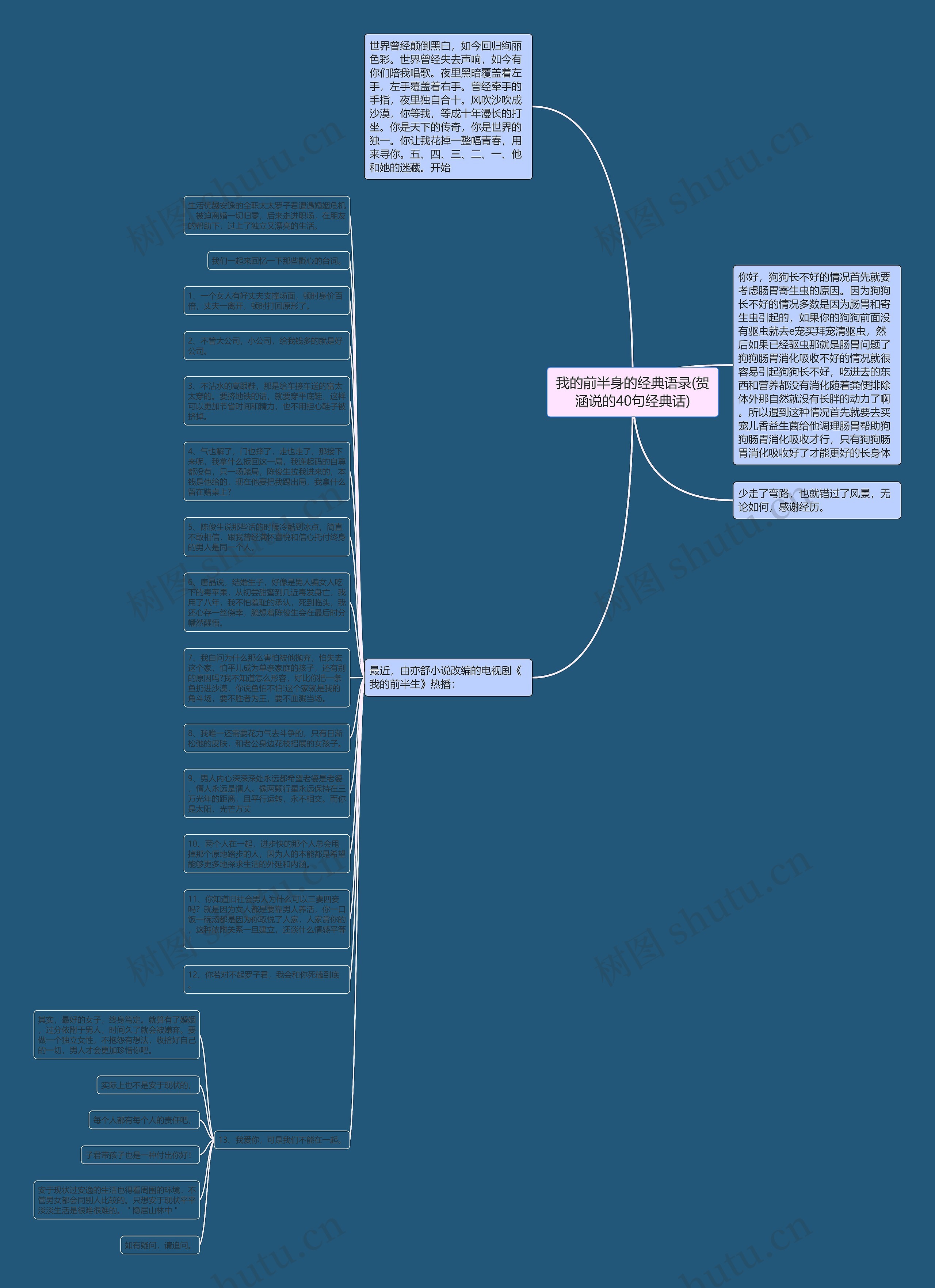 我的前半身的经典语录(贺涵说的40句经典话)思维导图