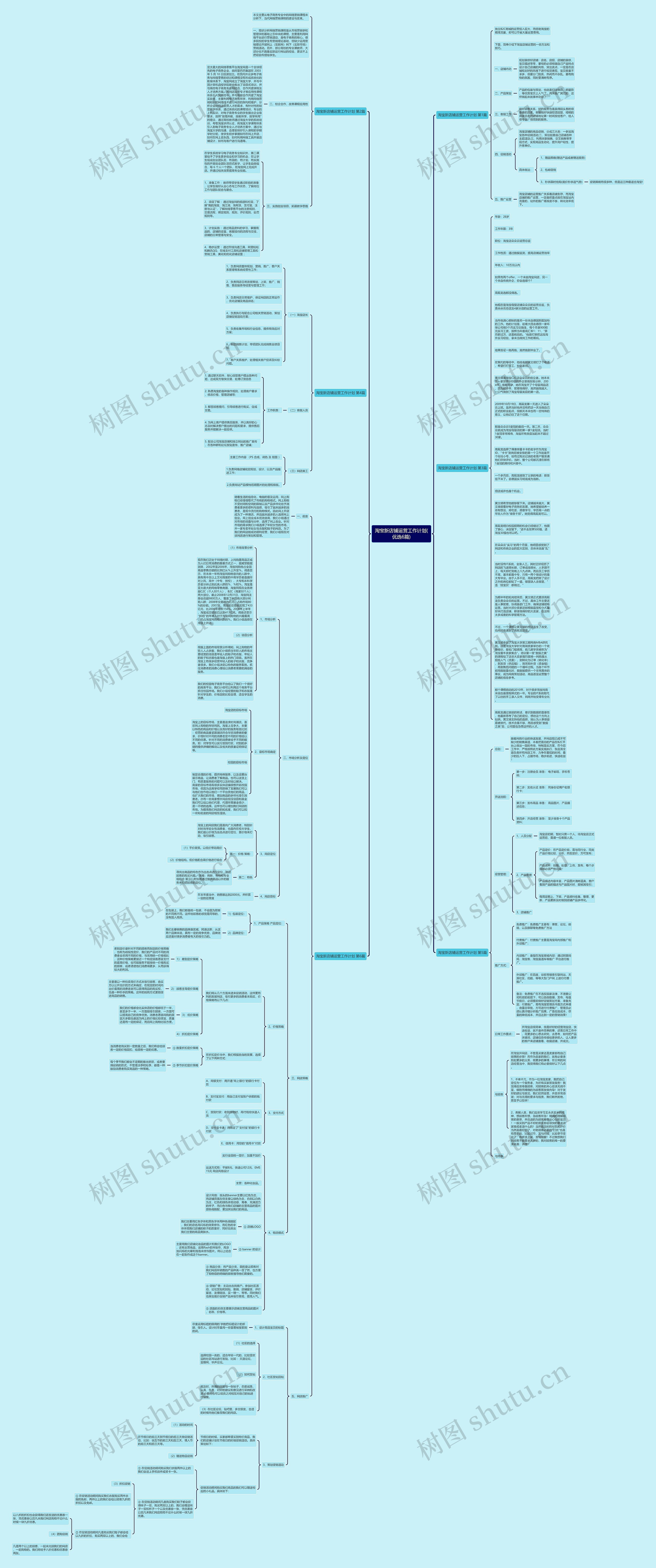 淘宝新店铺运营工作计划(优选6篇)思维导图