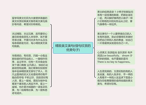 精致美文美句(佳句欣赏的优美句子)