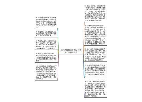 描写跳绳的短句 关于写跳绳的优美的句子