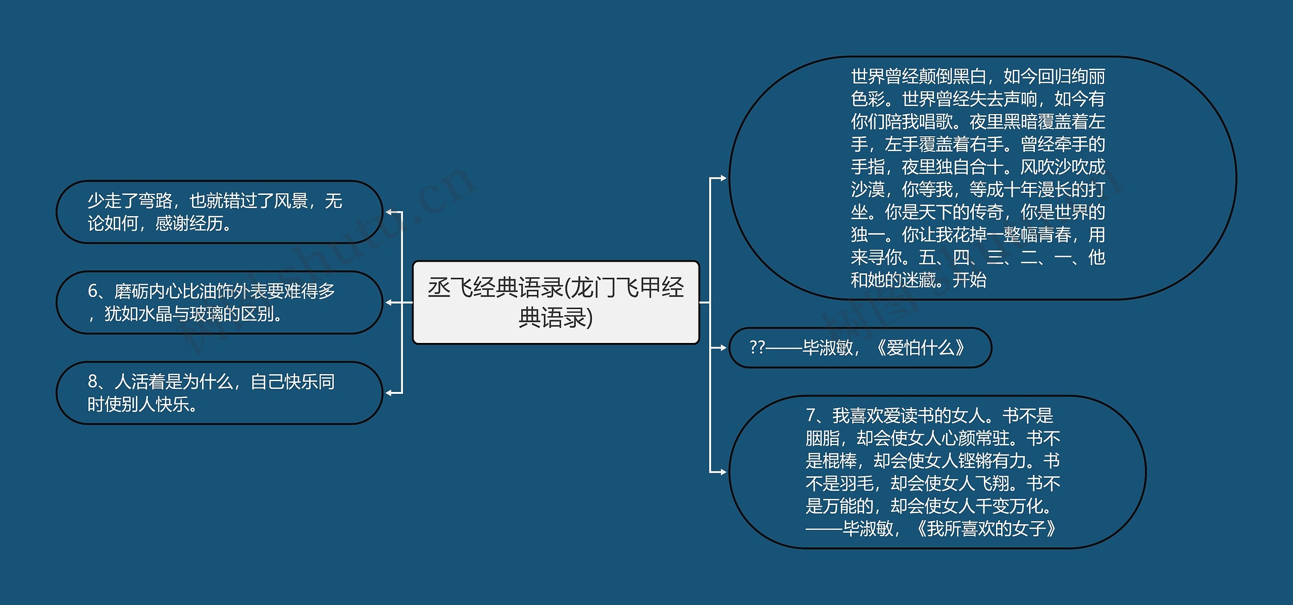 丞飞经典语录(龙门飞甲经典语录)