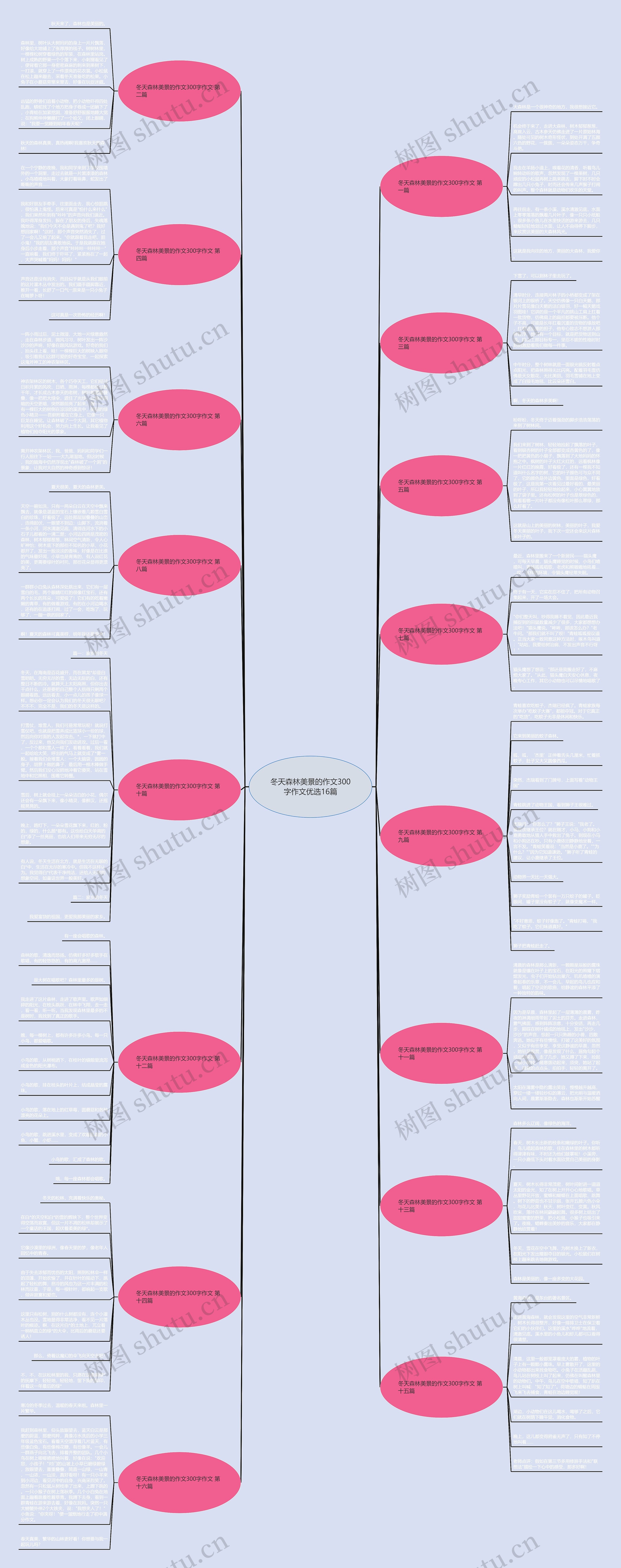 冬天森林美景的作文300字作文优选16篇思维导图