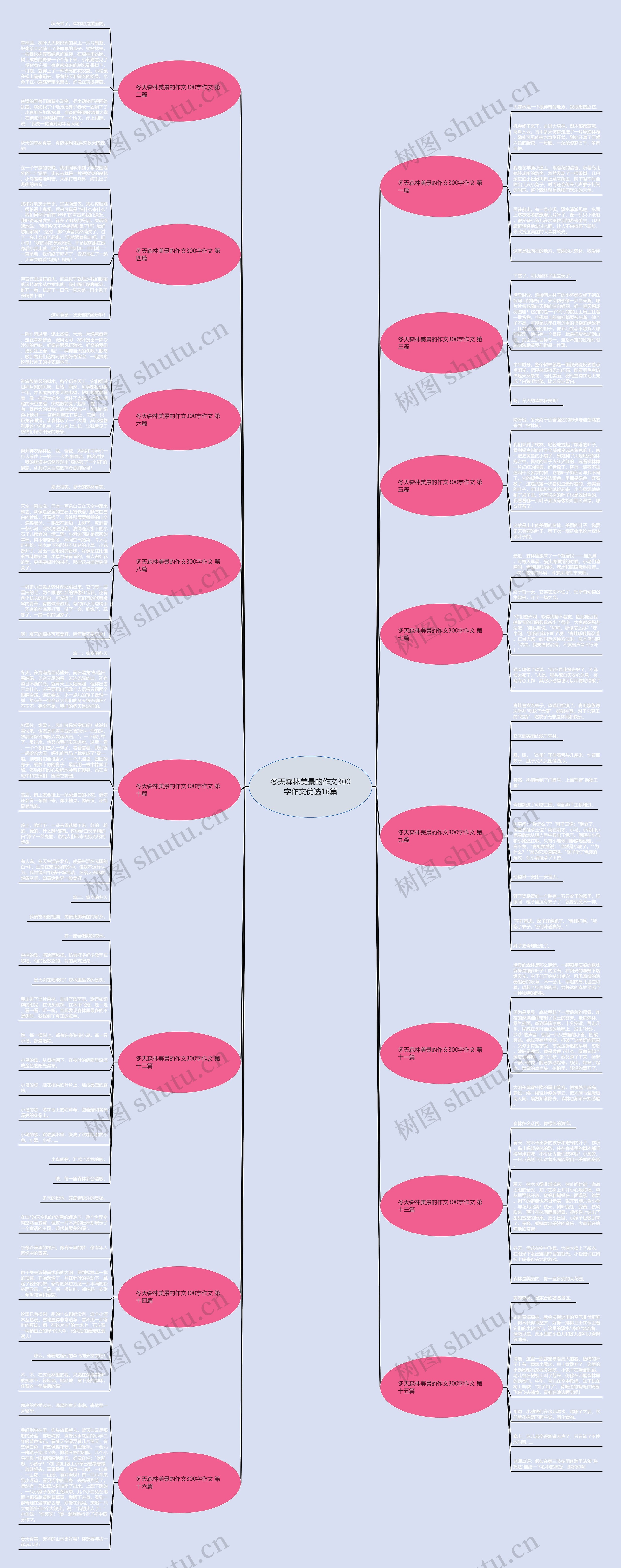 冬天森林美景的作文300字作文优选16篇 冬天森林美景的作文300字作文优选16篇