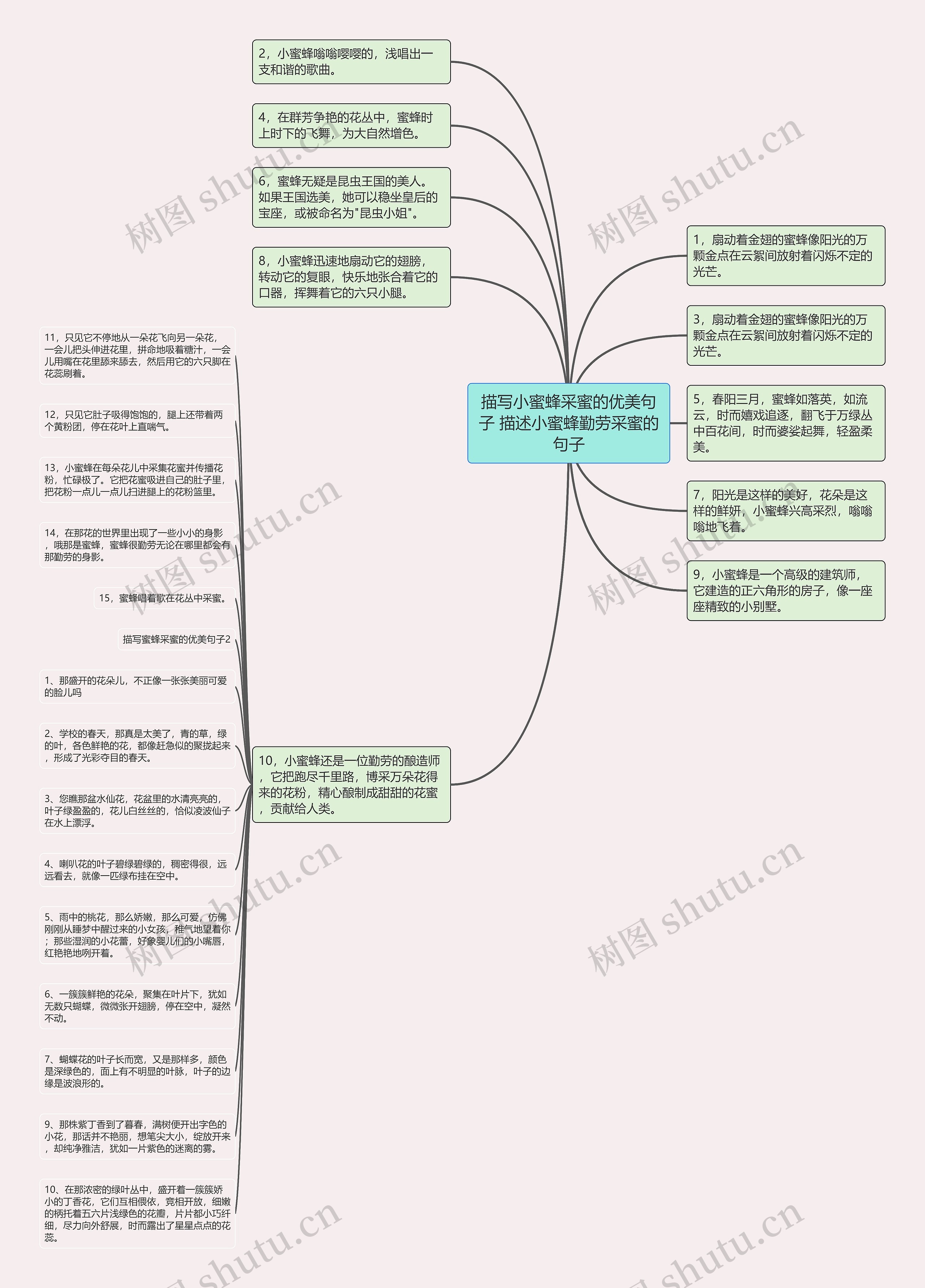 描写小蜜蜂采蜜的优美句子 描述小蜜蜂勤劳采蜜的句子思维导图