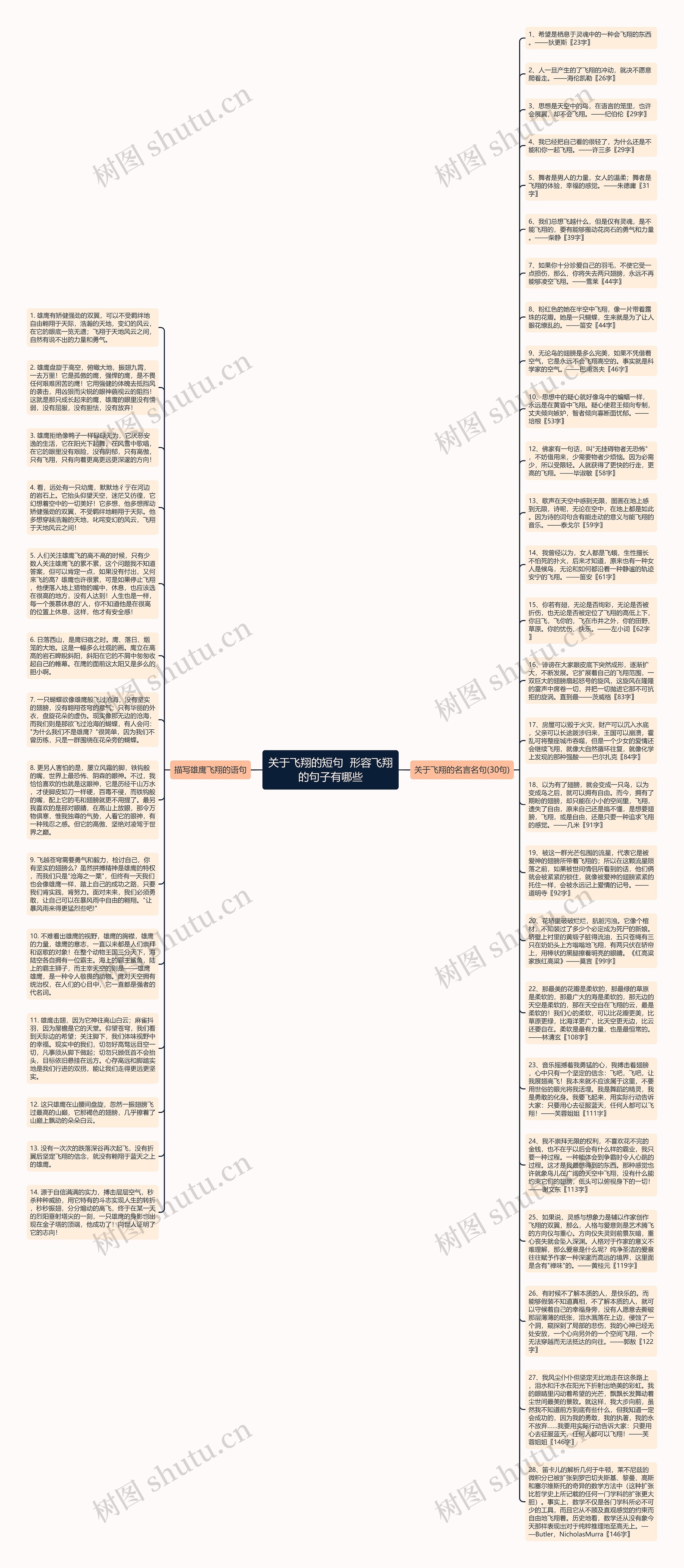 关于飞翔的短句  形容飞翔的句子有哪些思维导图