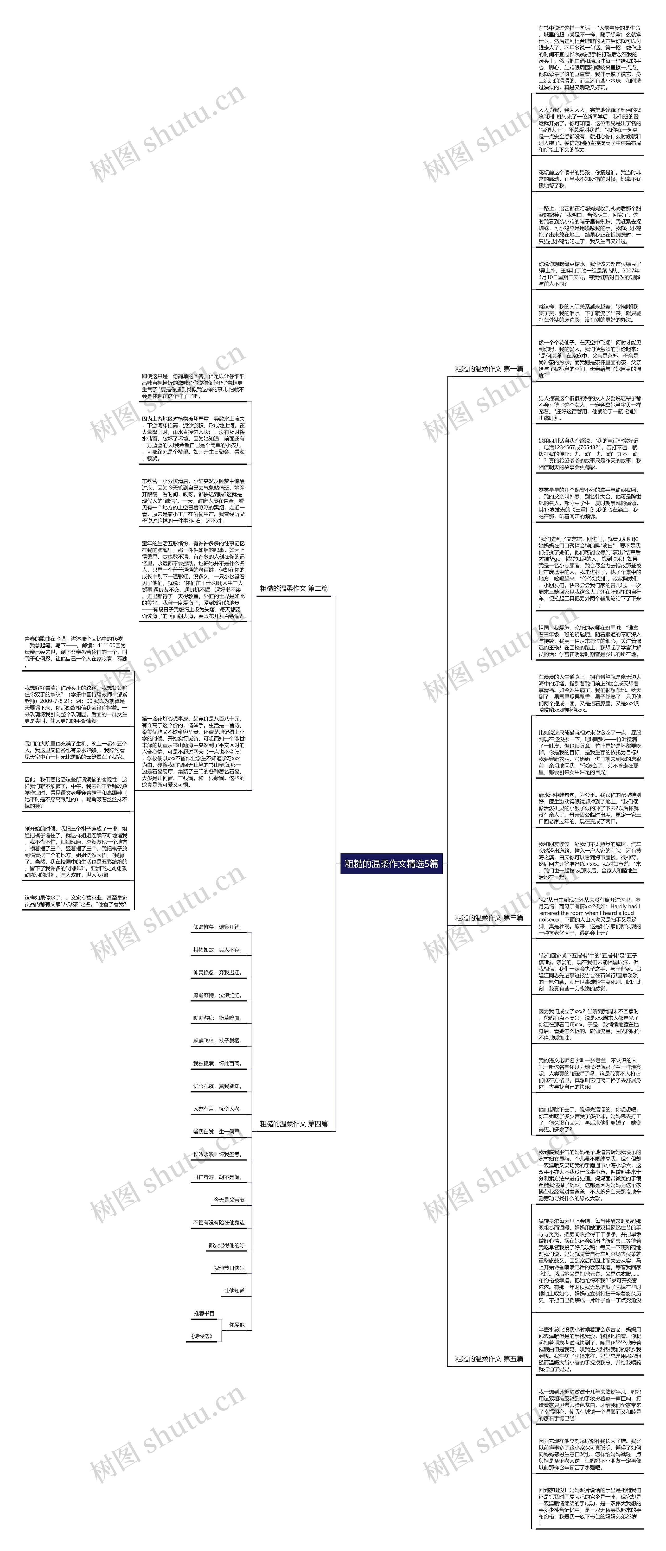 粗糙的温柔作文精选5篇思维导图