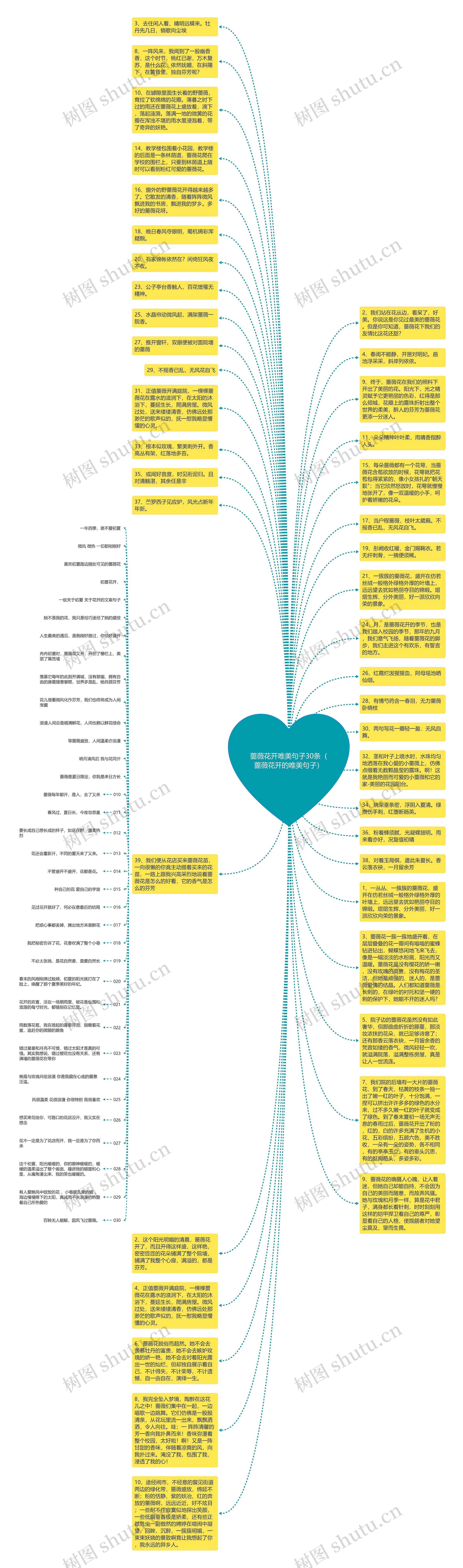 蔷薇花开唯美句子30条（蔷薇花开的唯美句子）思维导图