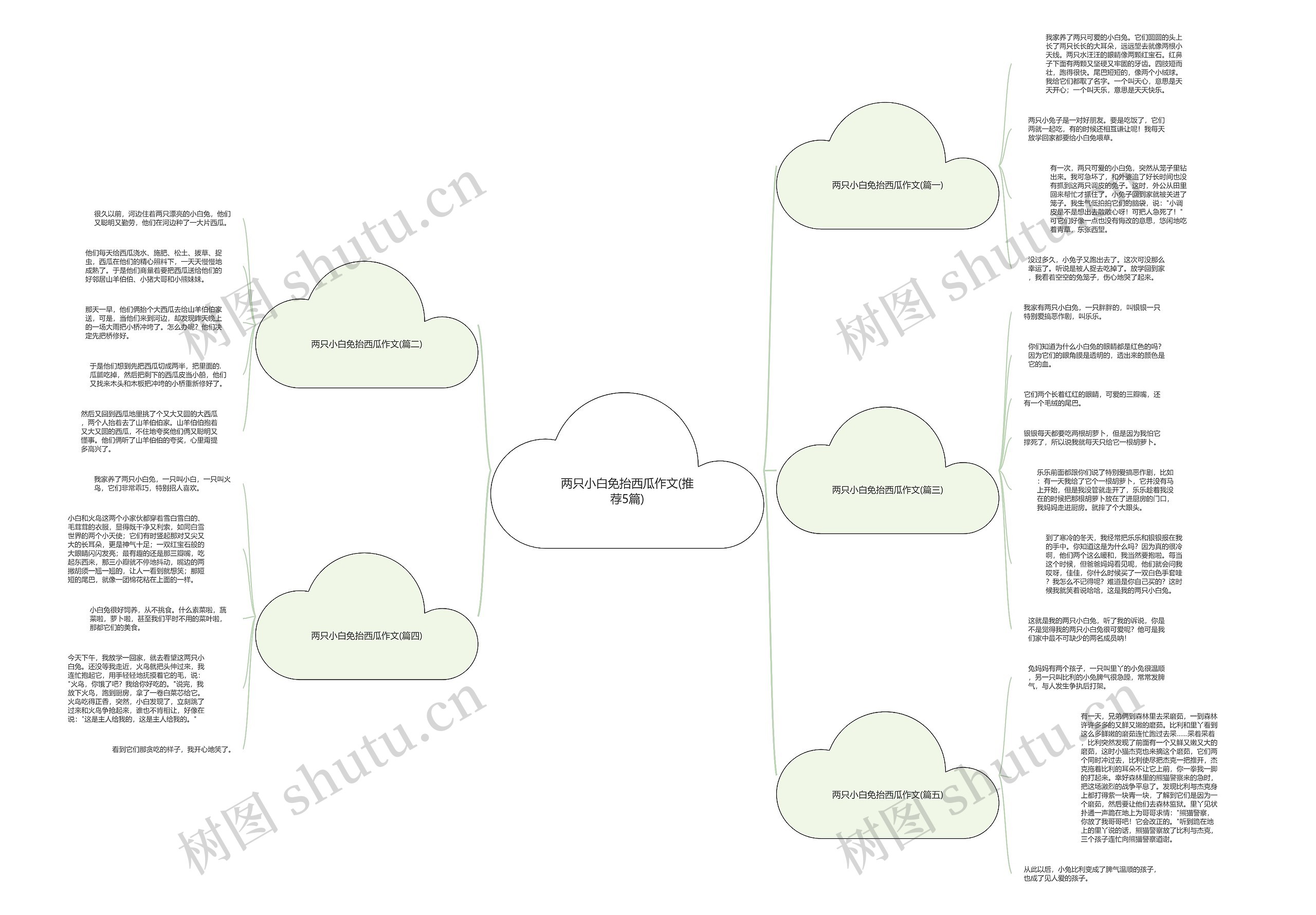 两只小白免抬西瓜作文(推荐5篇)思维导图