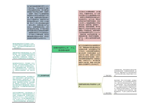 细糯种翡翠怎么样    什么是细糯种翡翠