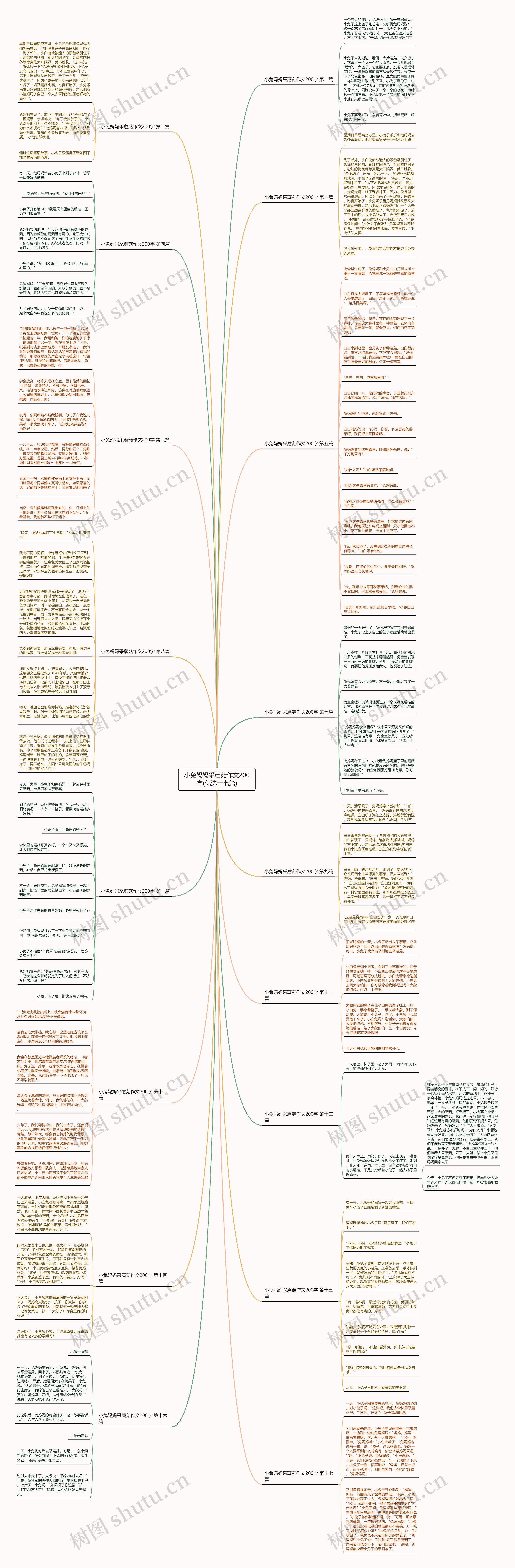 小兔妈妈采蘑菇作文200字(优选十七篇)思维导图