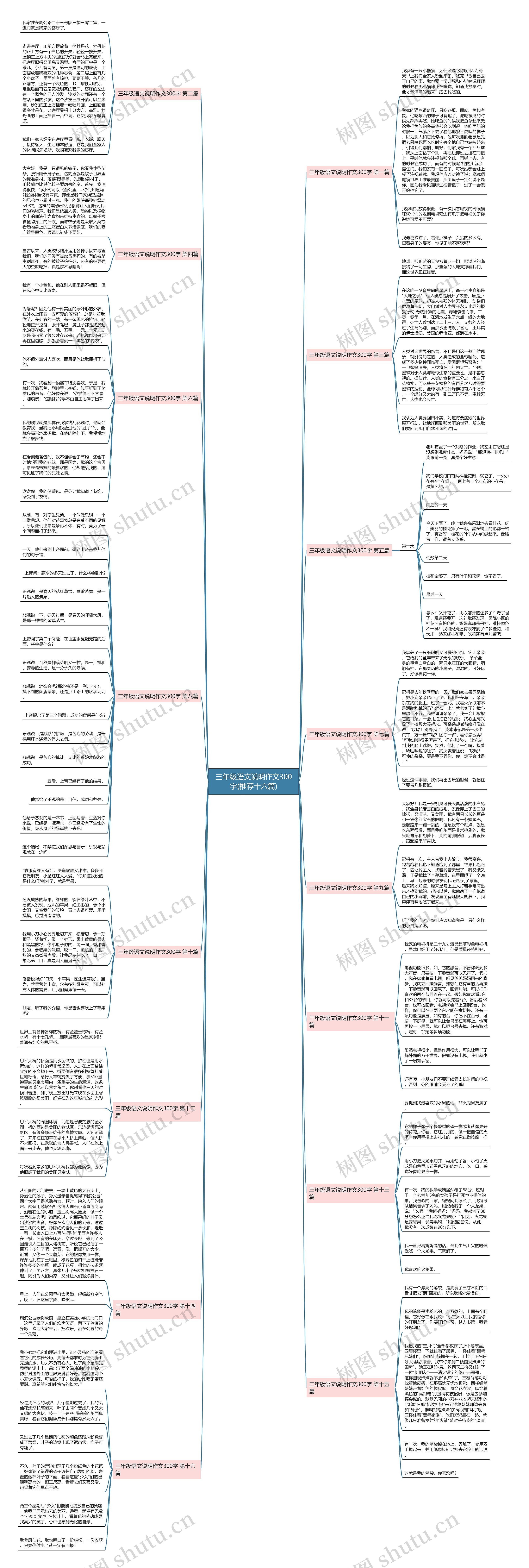 三年级语文说明作文300字(推荐十六篇)思维导图
