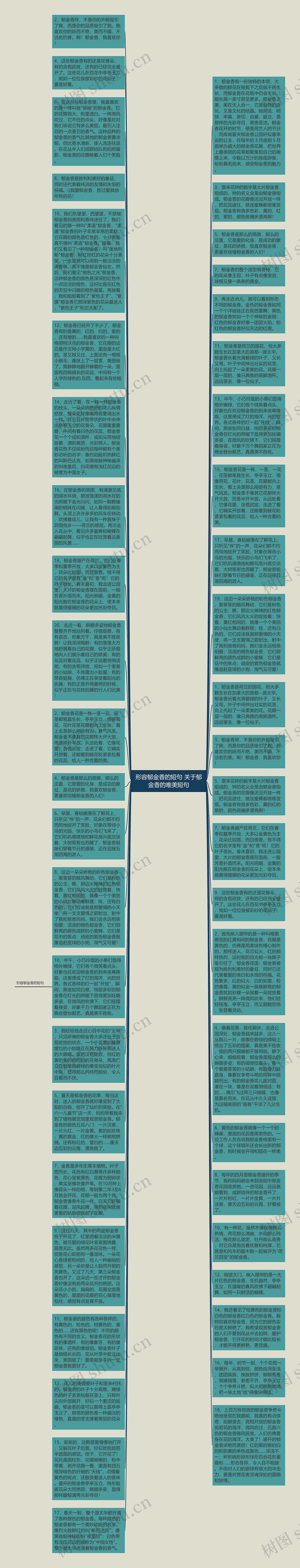 形容郁金香的短句 关于郁金香的唯美短句
