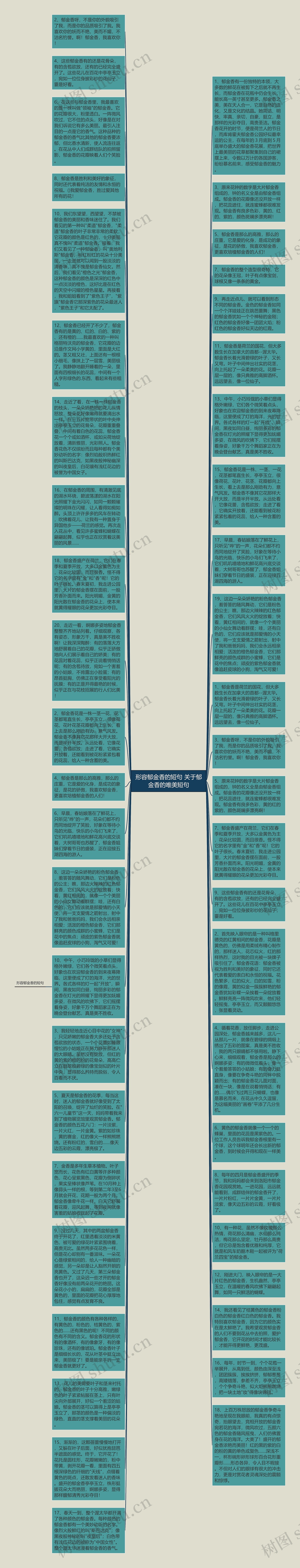 形容郁金香的短句 关于郁金香的唯美短句思维导图