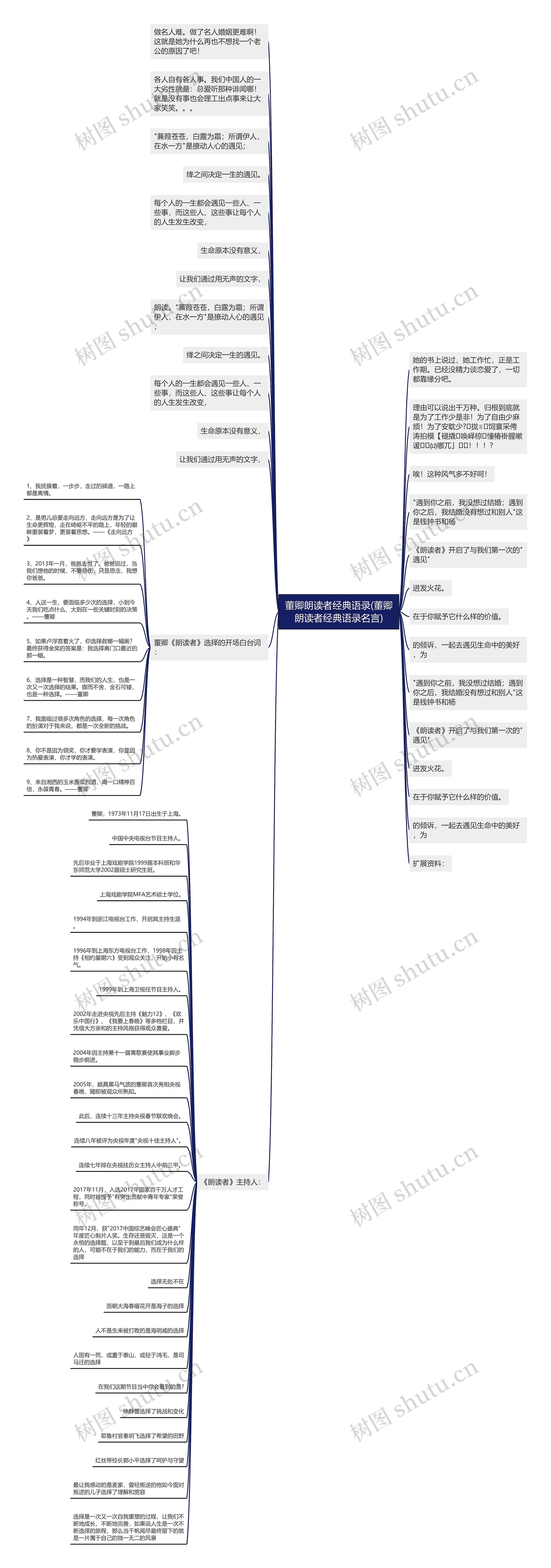 董卿朗读者经典语录(董卿朗读者经典语录名言)思维导图